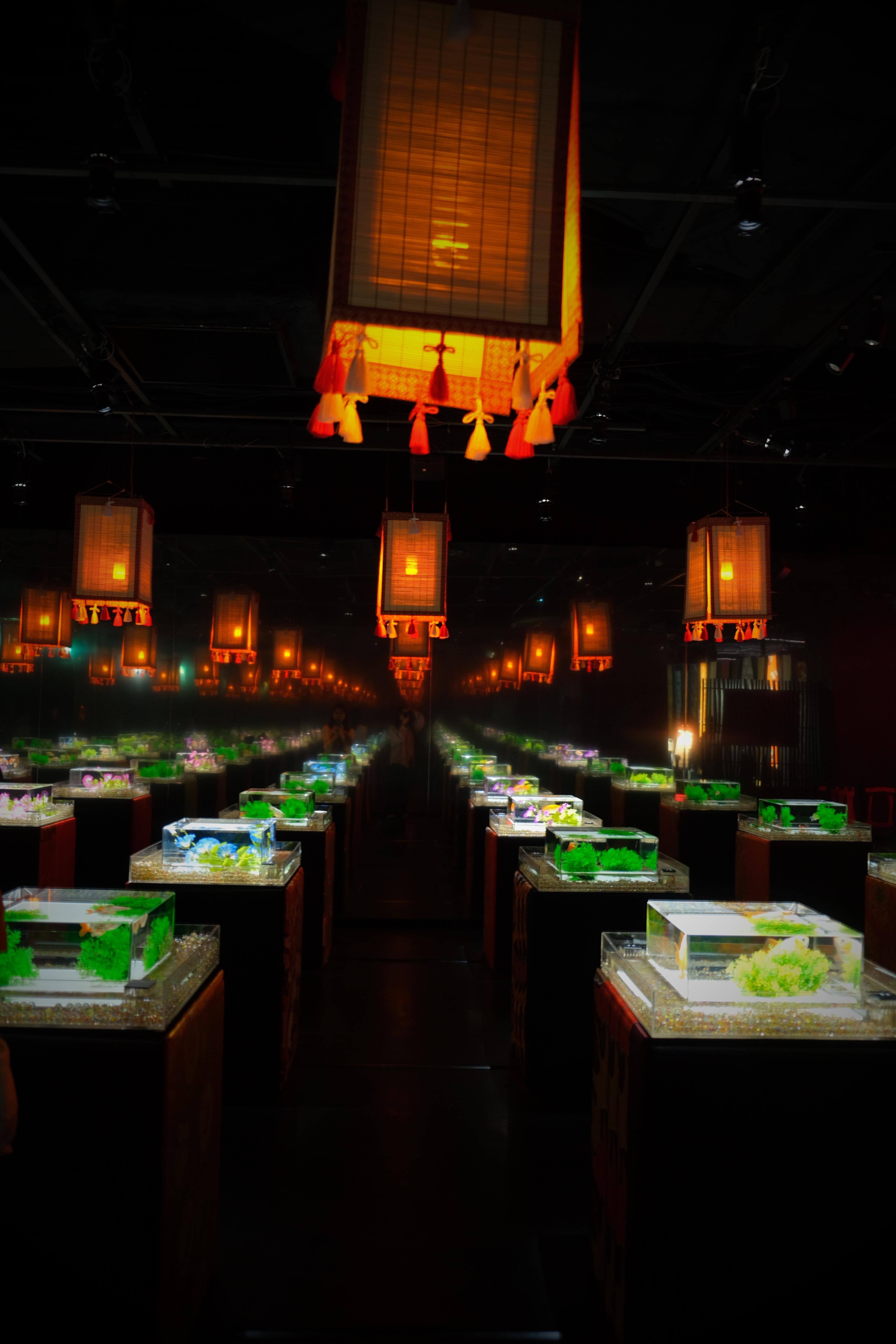 Tokyo Art Aquarium Museum GINZA Admission Ticket