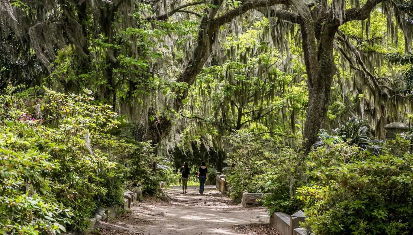 Savannah Georgia — tour experience image 5