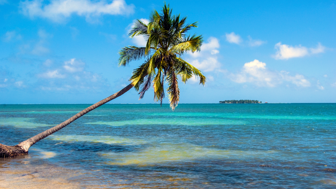 Private Belize Cays Caribbean Escape from San Pedro Sula