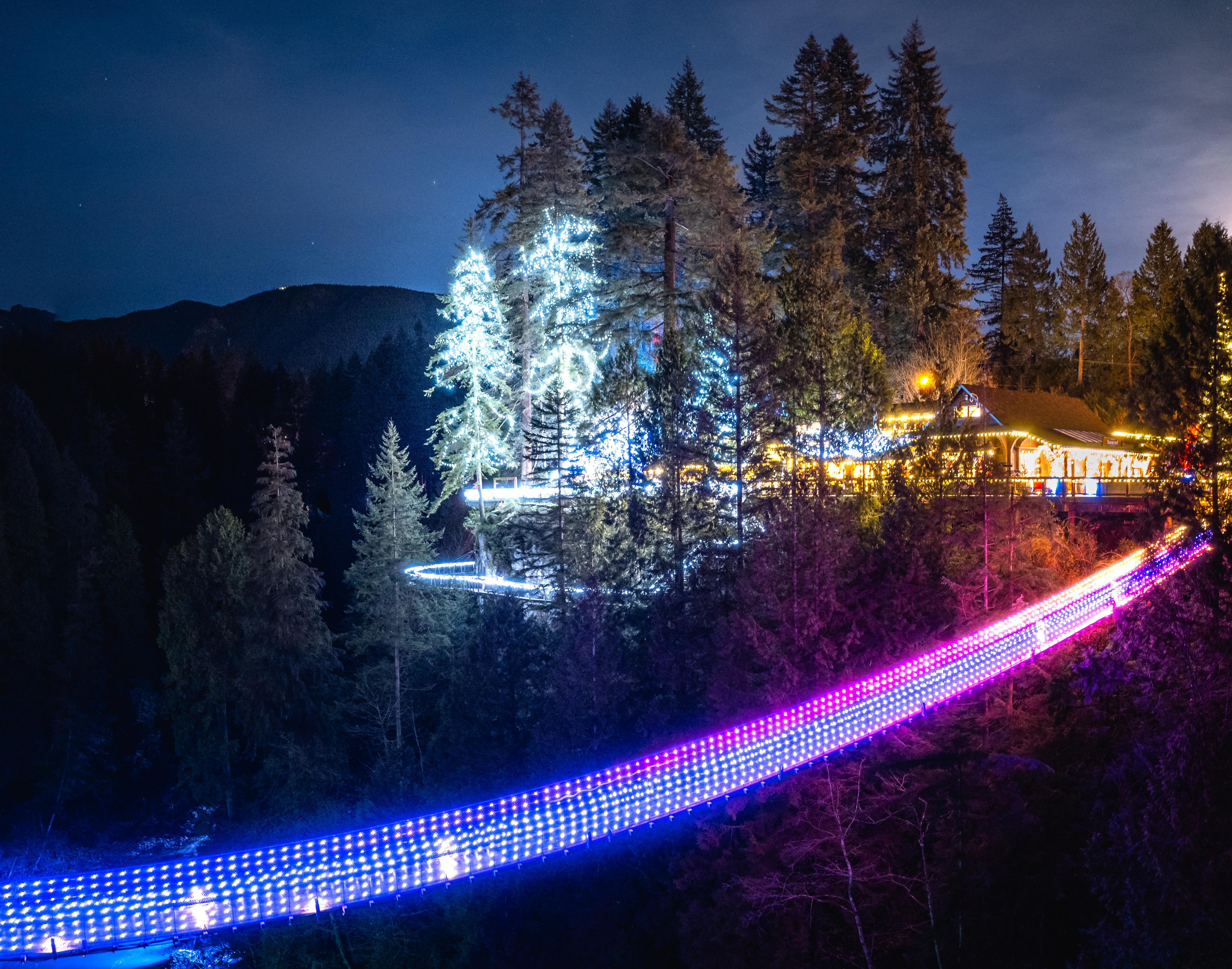 Vancouver North Shore & Capilano Canyon Lights Explorer