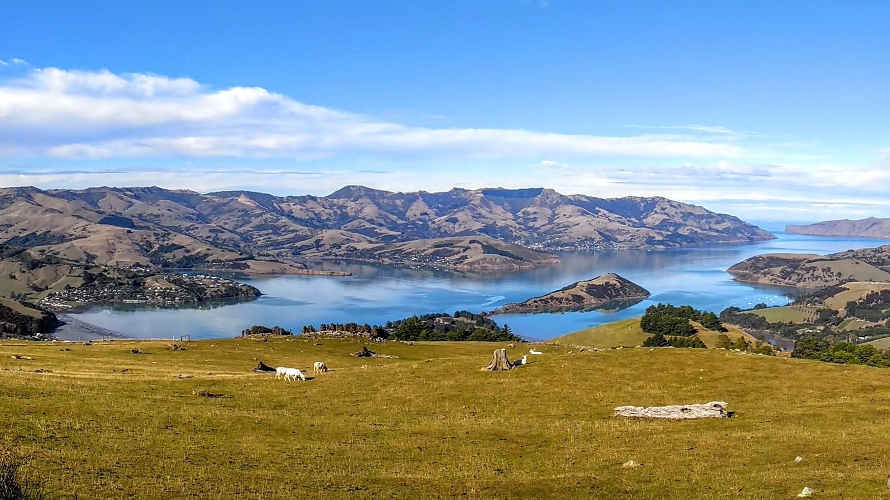 Akaroa: Eastern Bays Scenic Mail Run Tour
