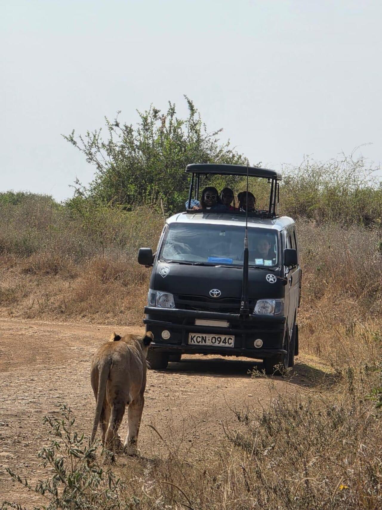 Nairobi National Park 5-Hour 4x4 Wildlife Safari