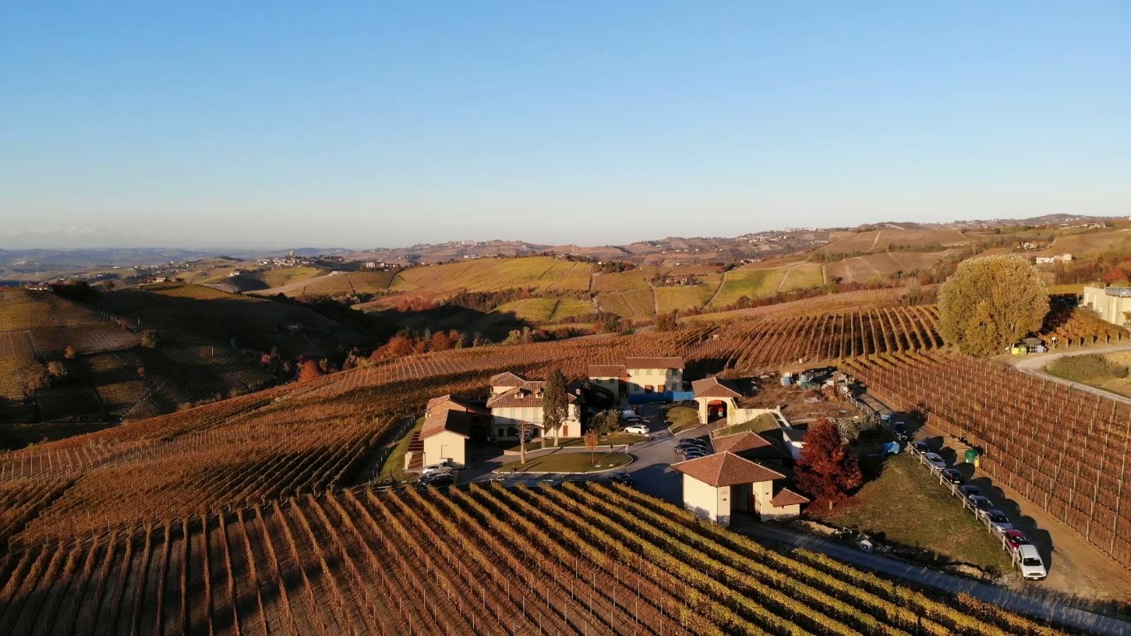 Langhe Wine Tour with Vineyard Visit & Piedmontese Dinner