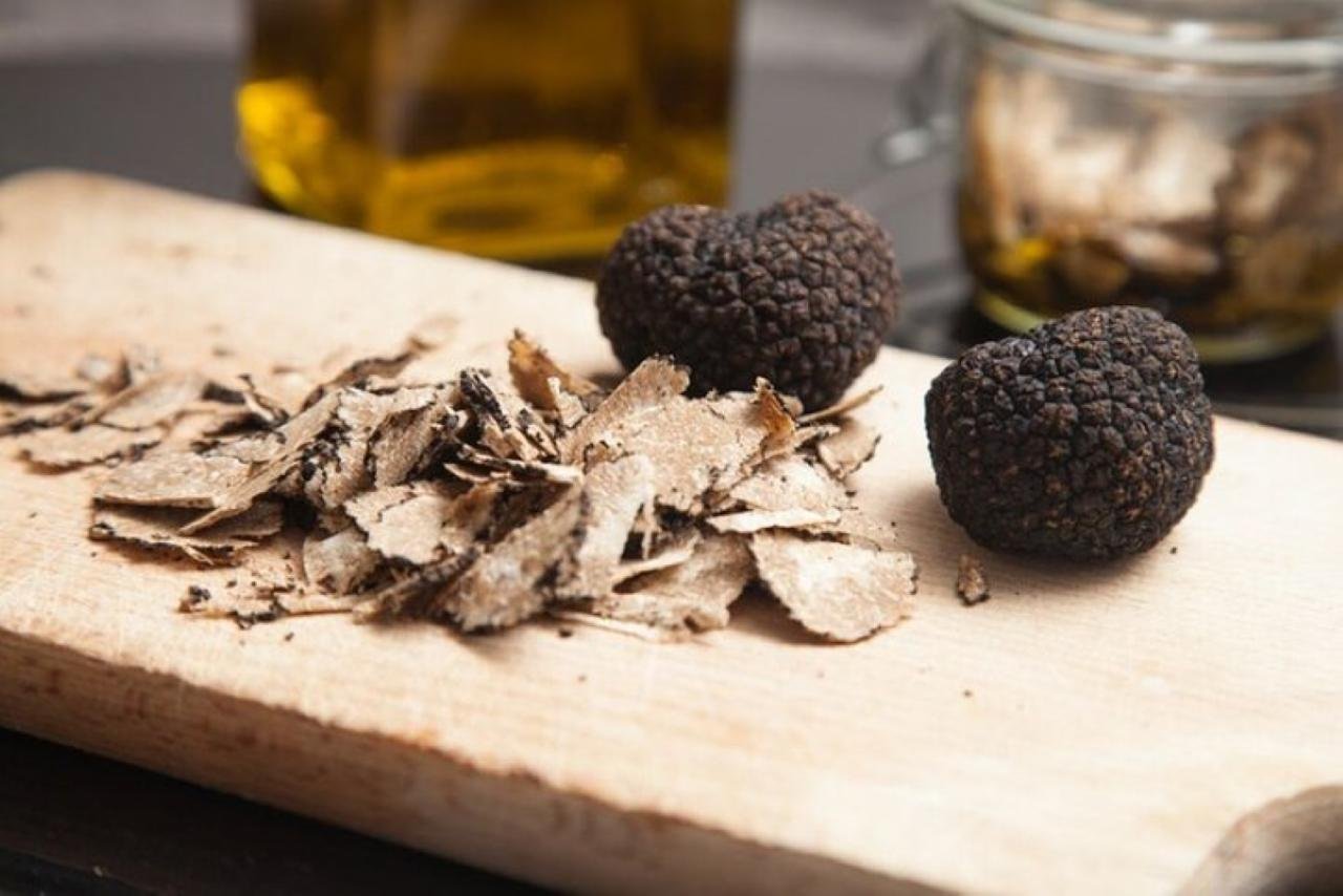 Chianti Truffle Hunt with Winery Tour & Tuscan Feast