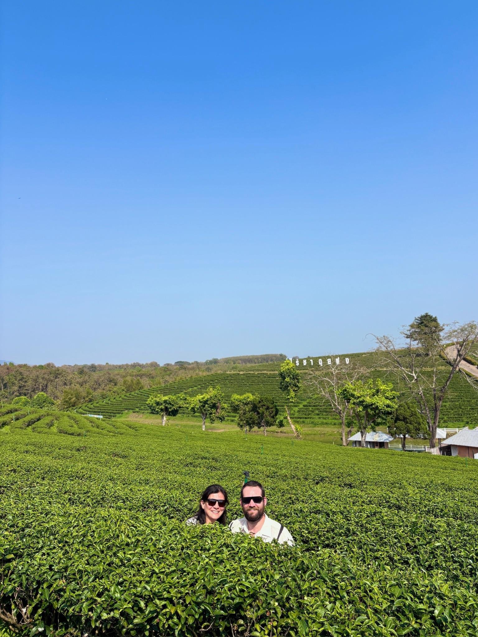 Chiang Rai Full-Day Highlights: Temples, Culture & Golden Triangle