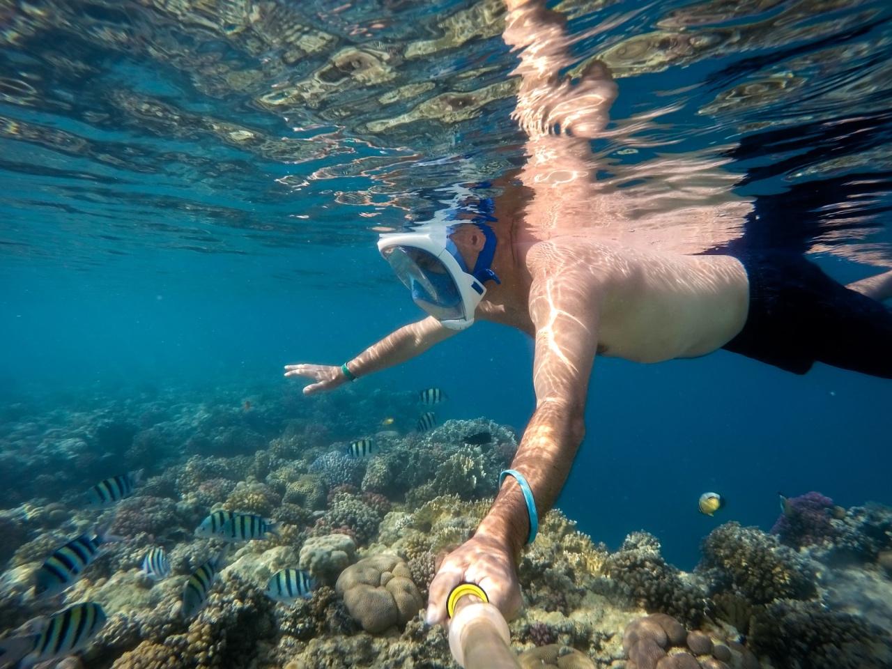 Ras Mohamed & White Island Full-Day Snorkel, Dive & Cruise from Sharm