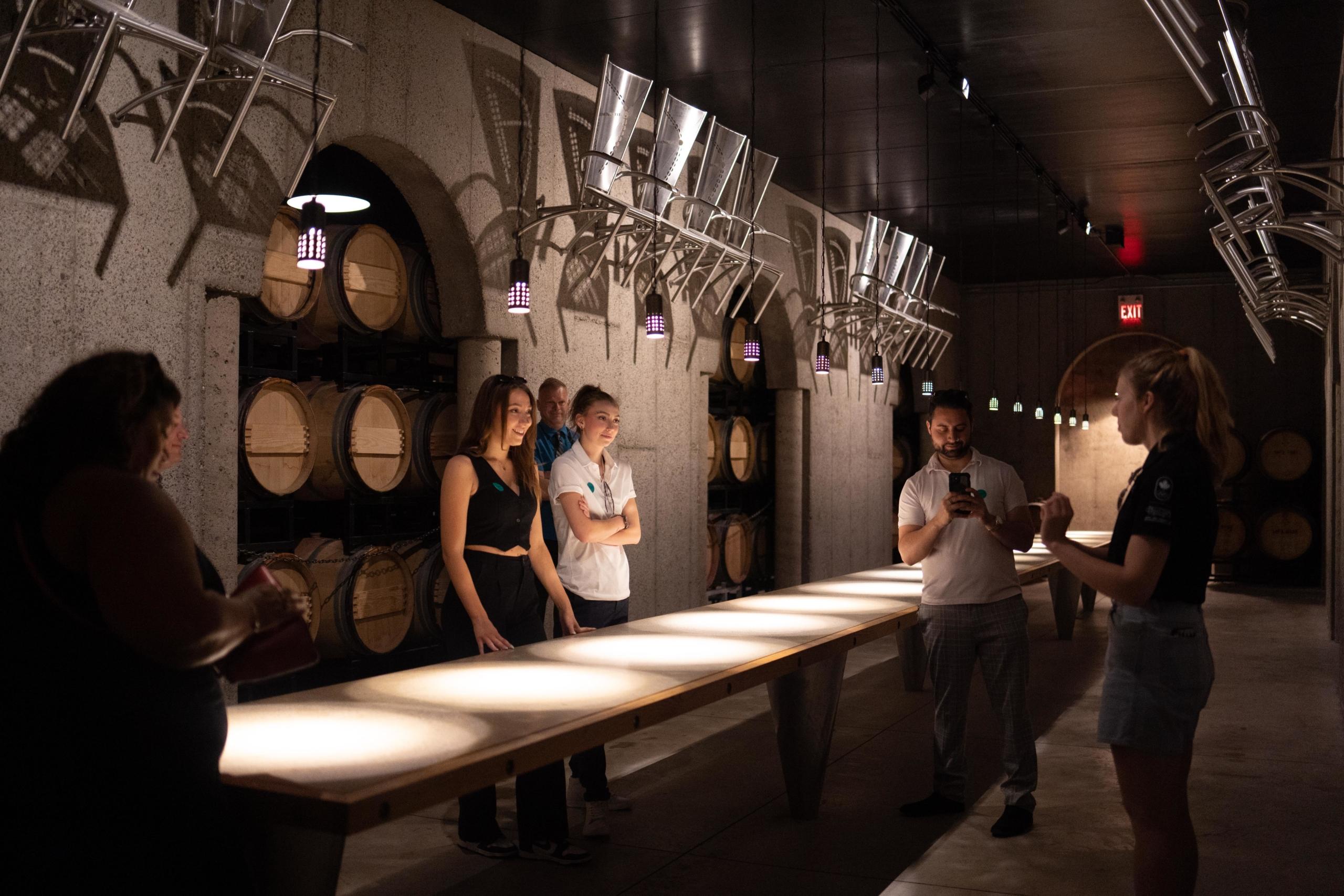 Niagara Wine & Craft Beer Tasting Experience