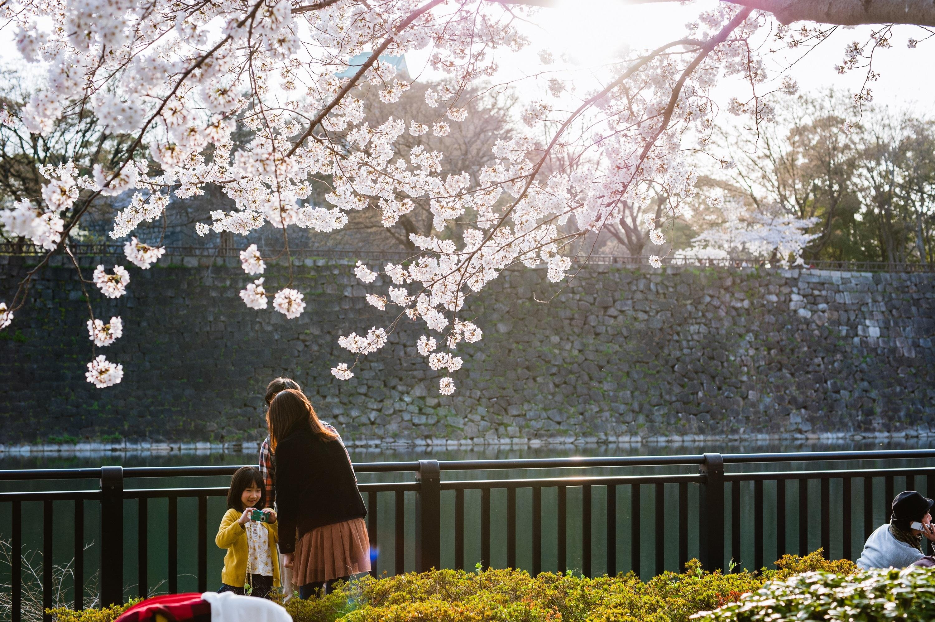 Osaka Castle & Samurai Heritage Walking Tour