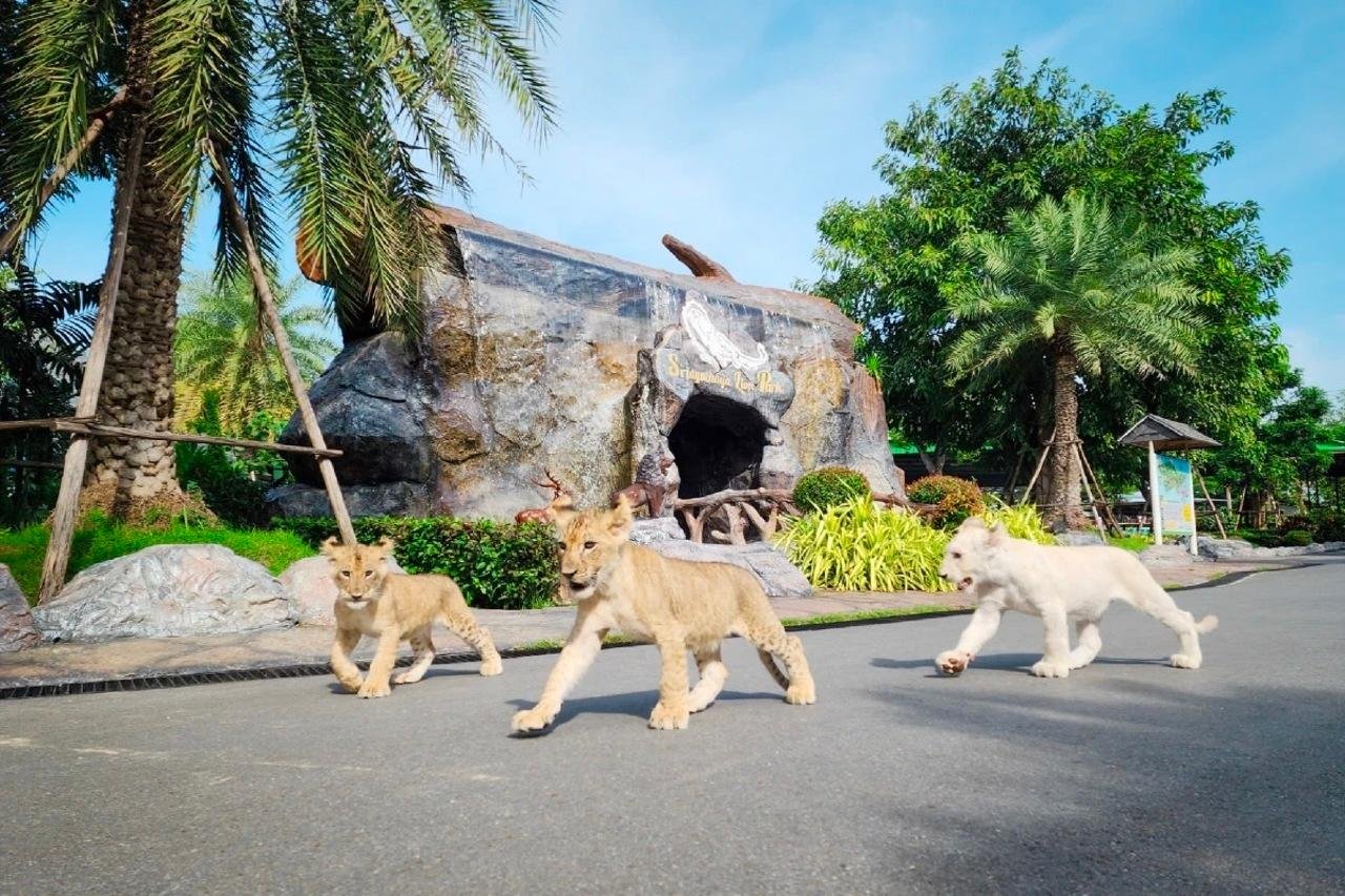 Bangkok to Ayutthaya Private Day Charter