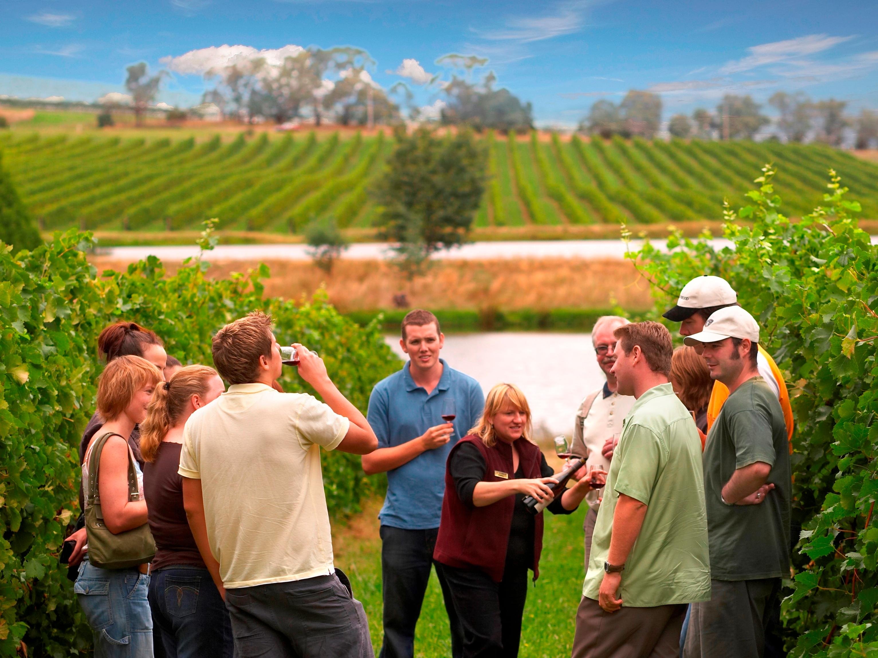 Yarra Valley Wine Tour with Lunch