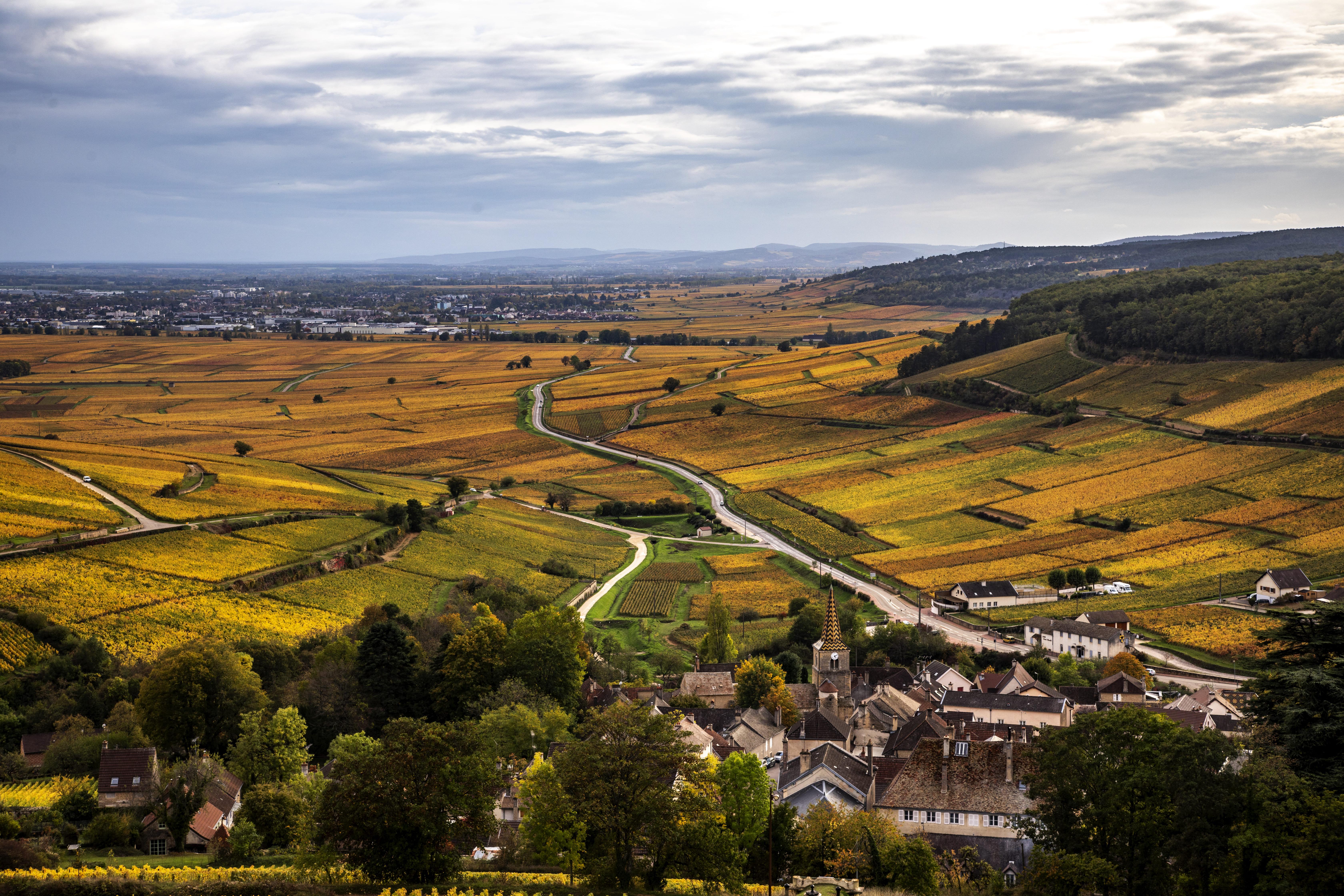 Burgundy Wine Region Full-Day Small Group Experience
