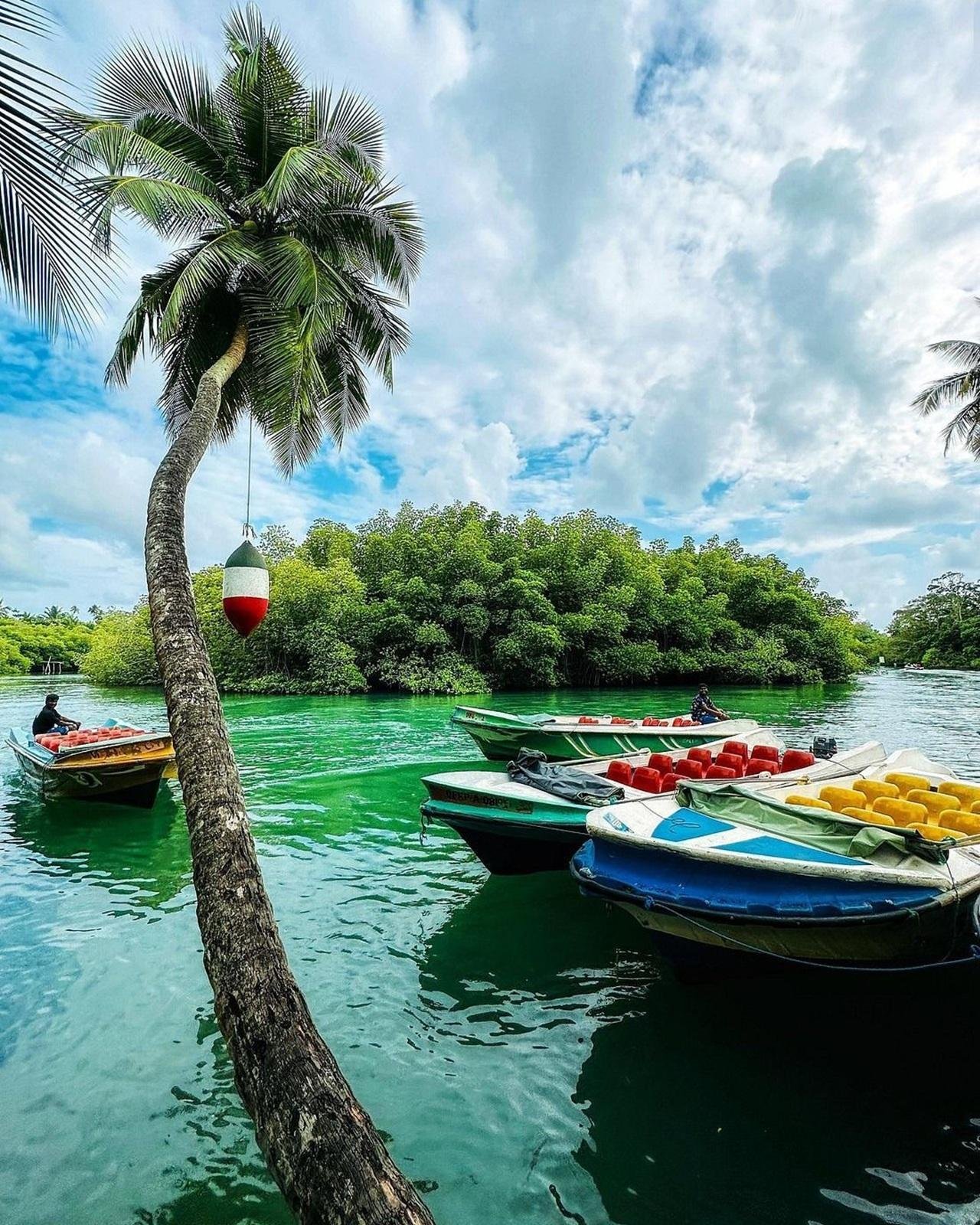 Bentota River Safari, Turtles & Galle Fort Day Tour