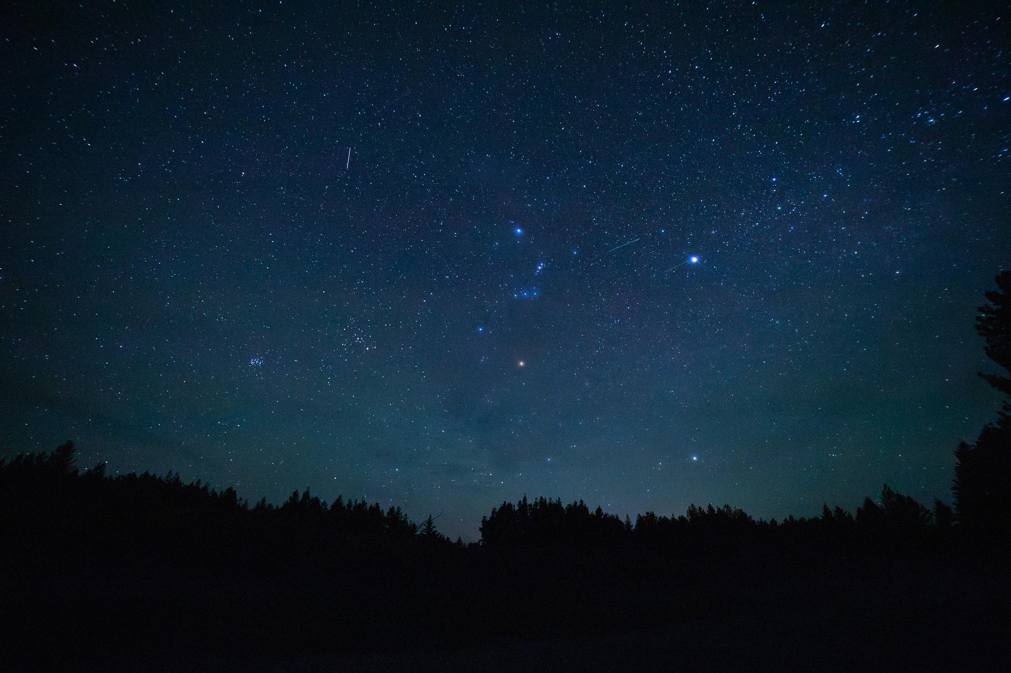 Twizel: Stargazing Tour with an Astronomer and Telescope