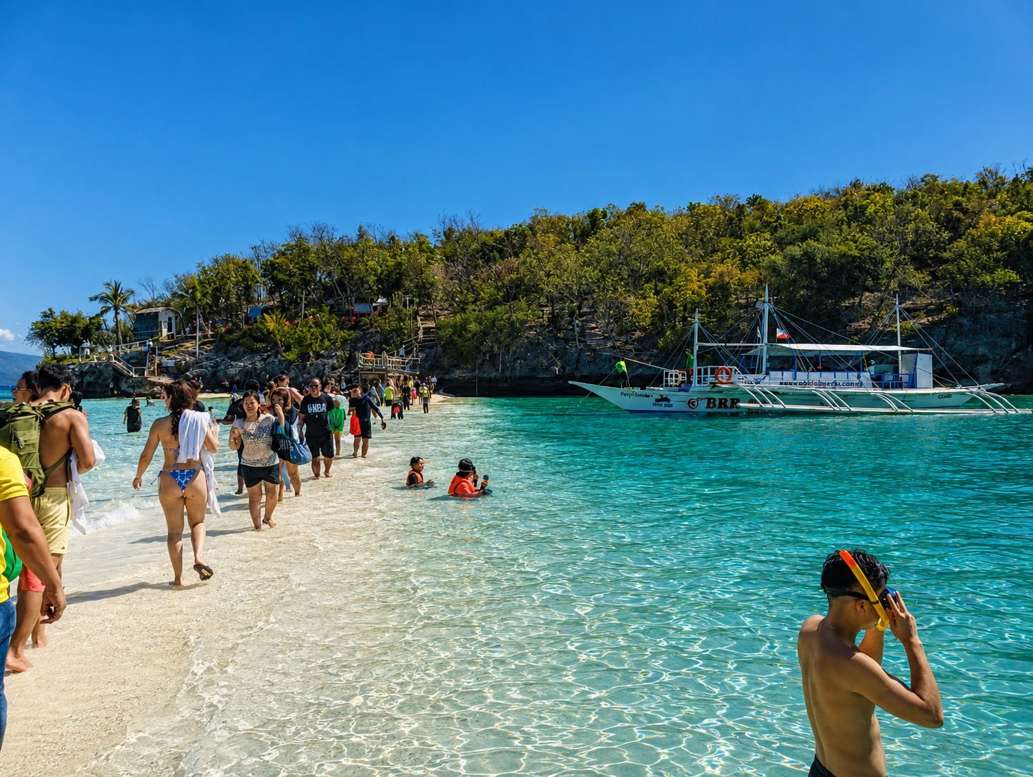 Cebu: Whale Sharks, Tumalog Falls & Sumilon Island Day Tour