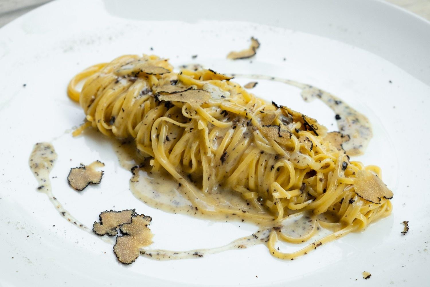 Tuscany: Truffle Hunting and Meal at a Winery - 2026 (Verified Reviews)