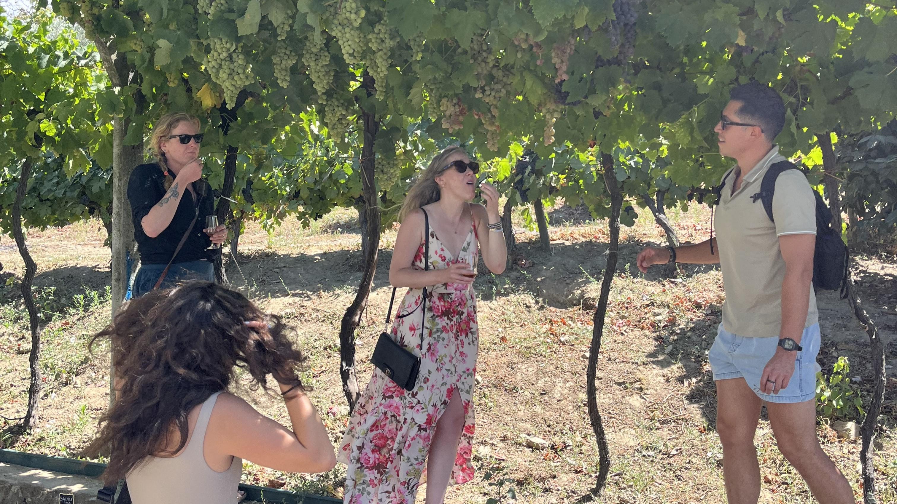 Douro Valley Wine & Boat Experience from Porto