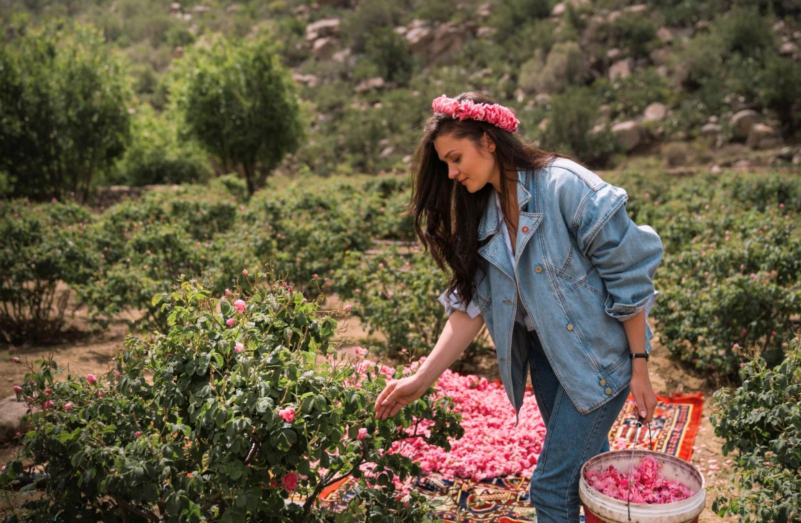 Taif Mountain Escape from Jeddah