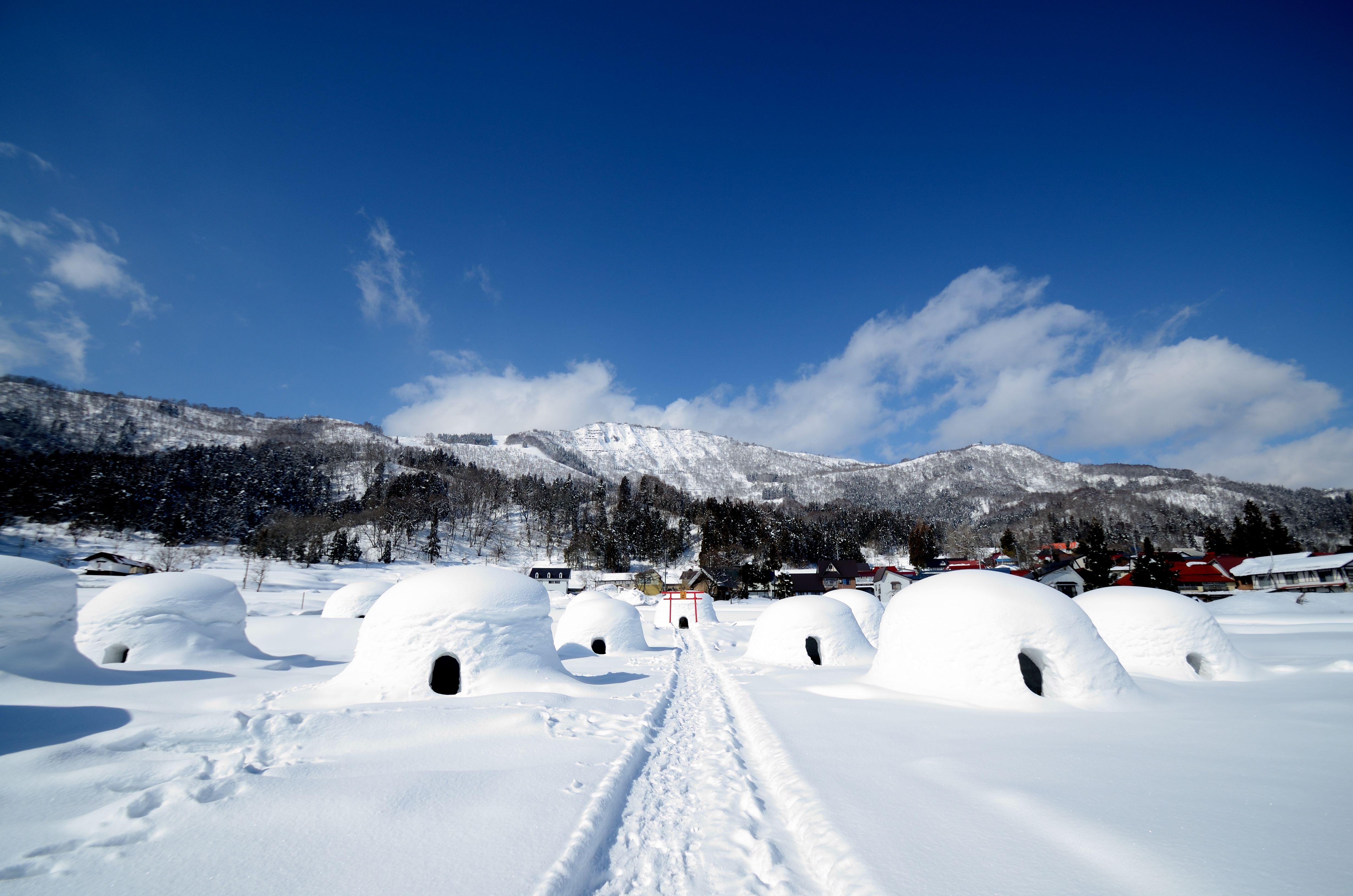 Tokyo Day Trip: Snow Monkeys & Beef Sukiyaki Lunch in Nagano