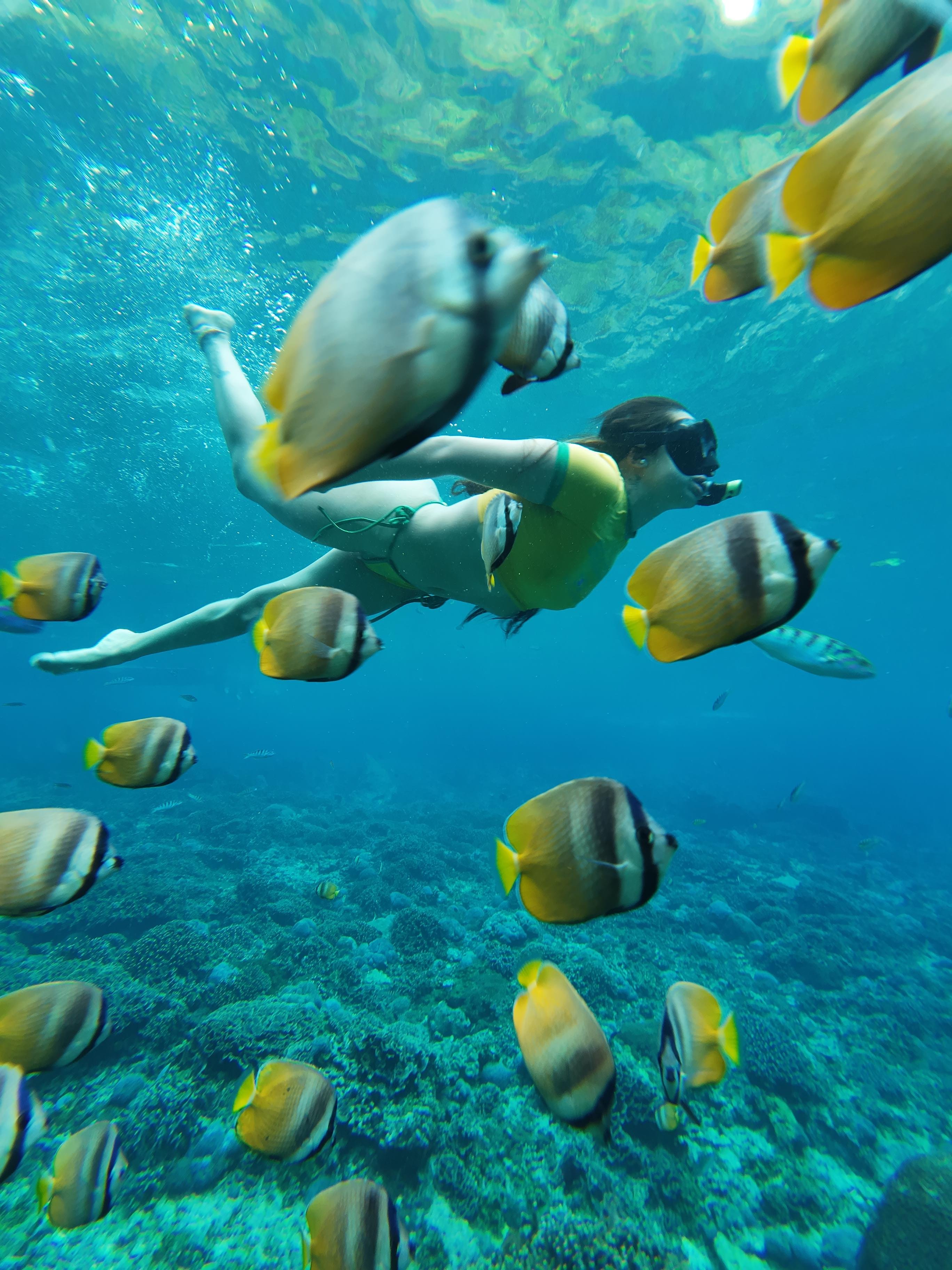Nusa Penida 3-Point Snorkeling Adventure
