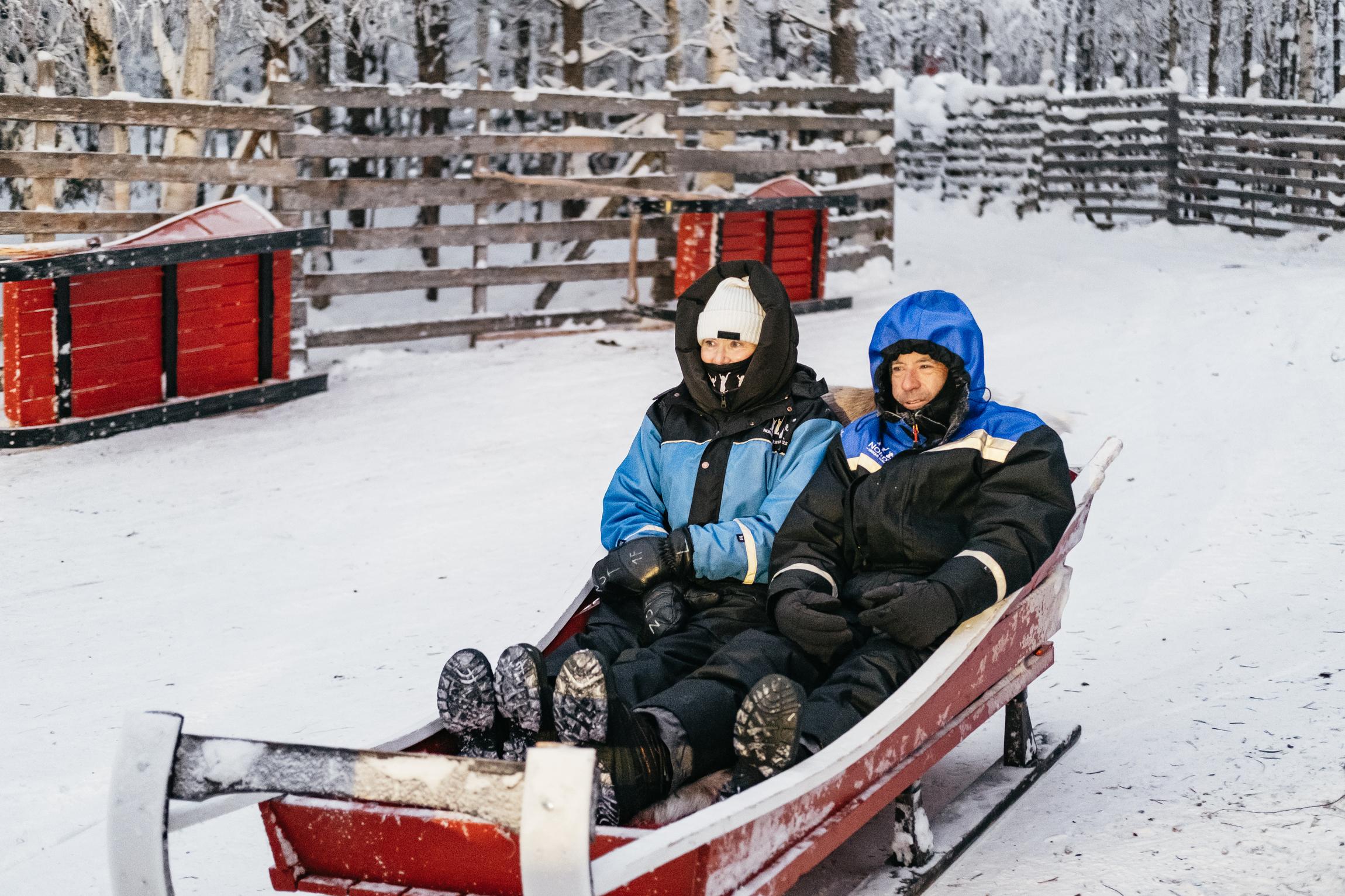 Rovaniemi Snowmobile Safari & Arctic Wildlife Day Tour