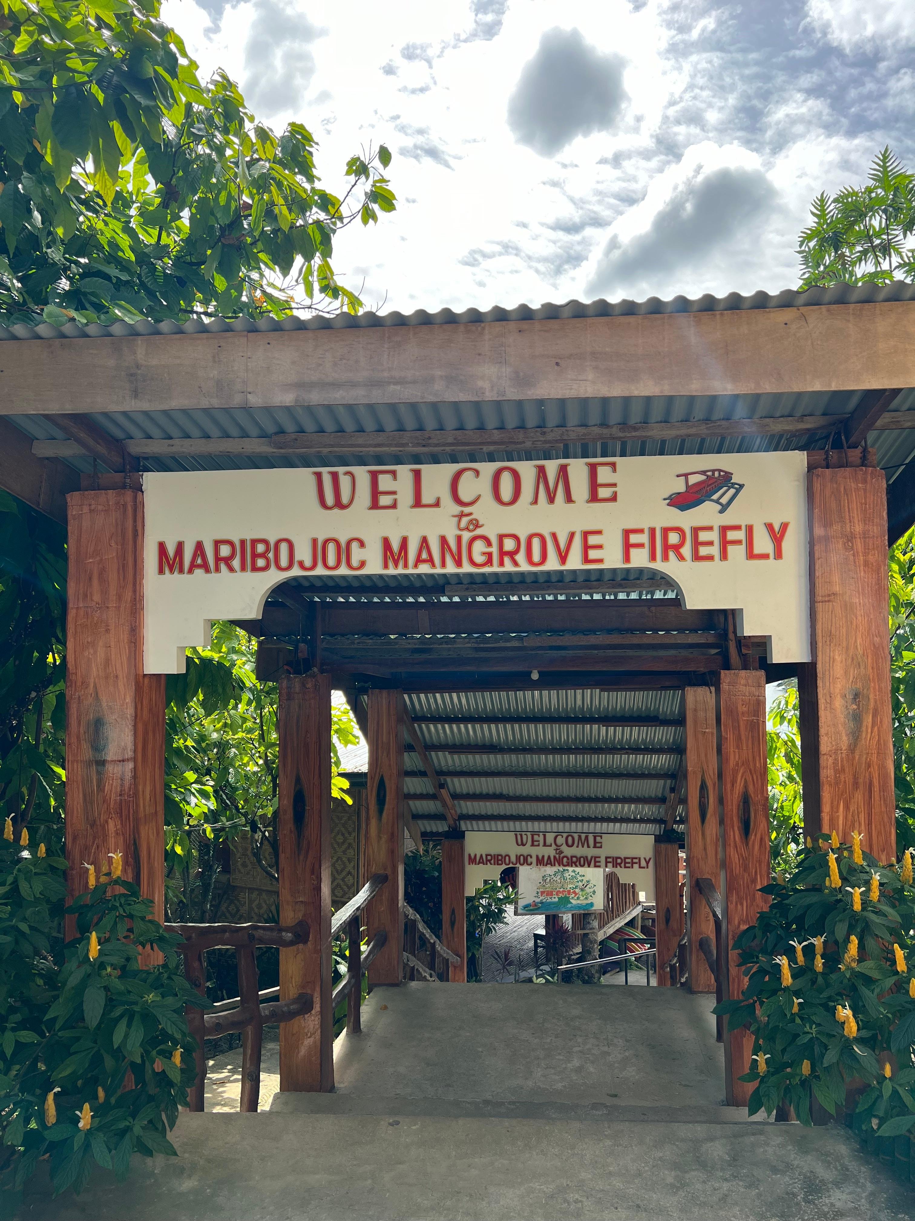 Private Firefly Watching by Boat or Kayak in Maribojoc