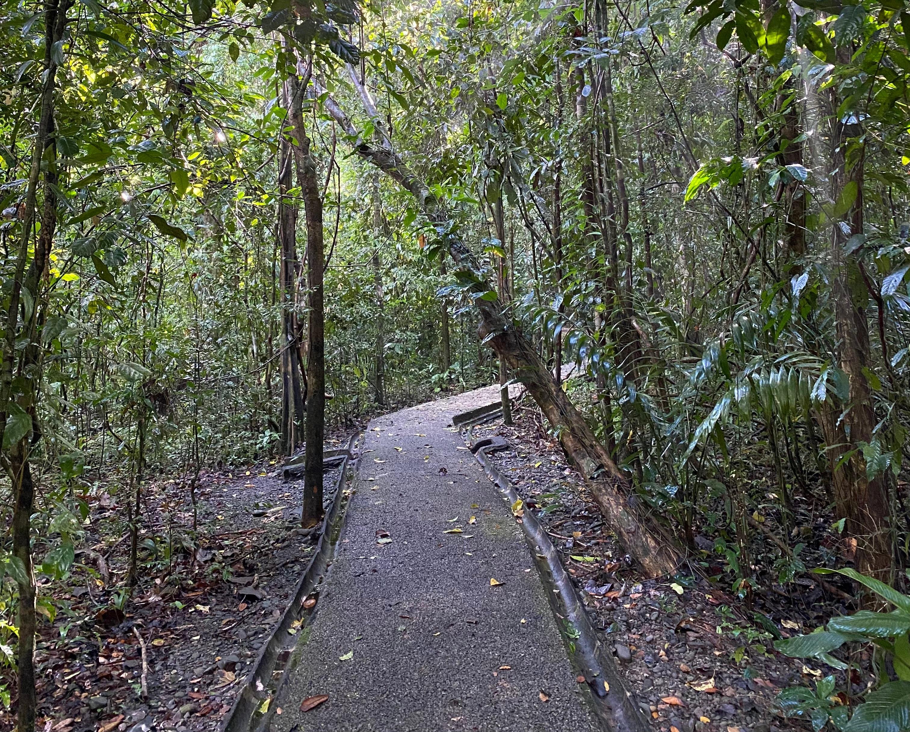 Manuel Antonio National Park: Naturalist-Led Wildlife Walking Tour