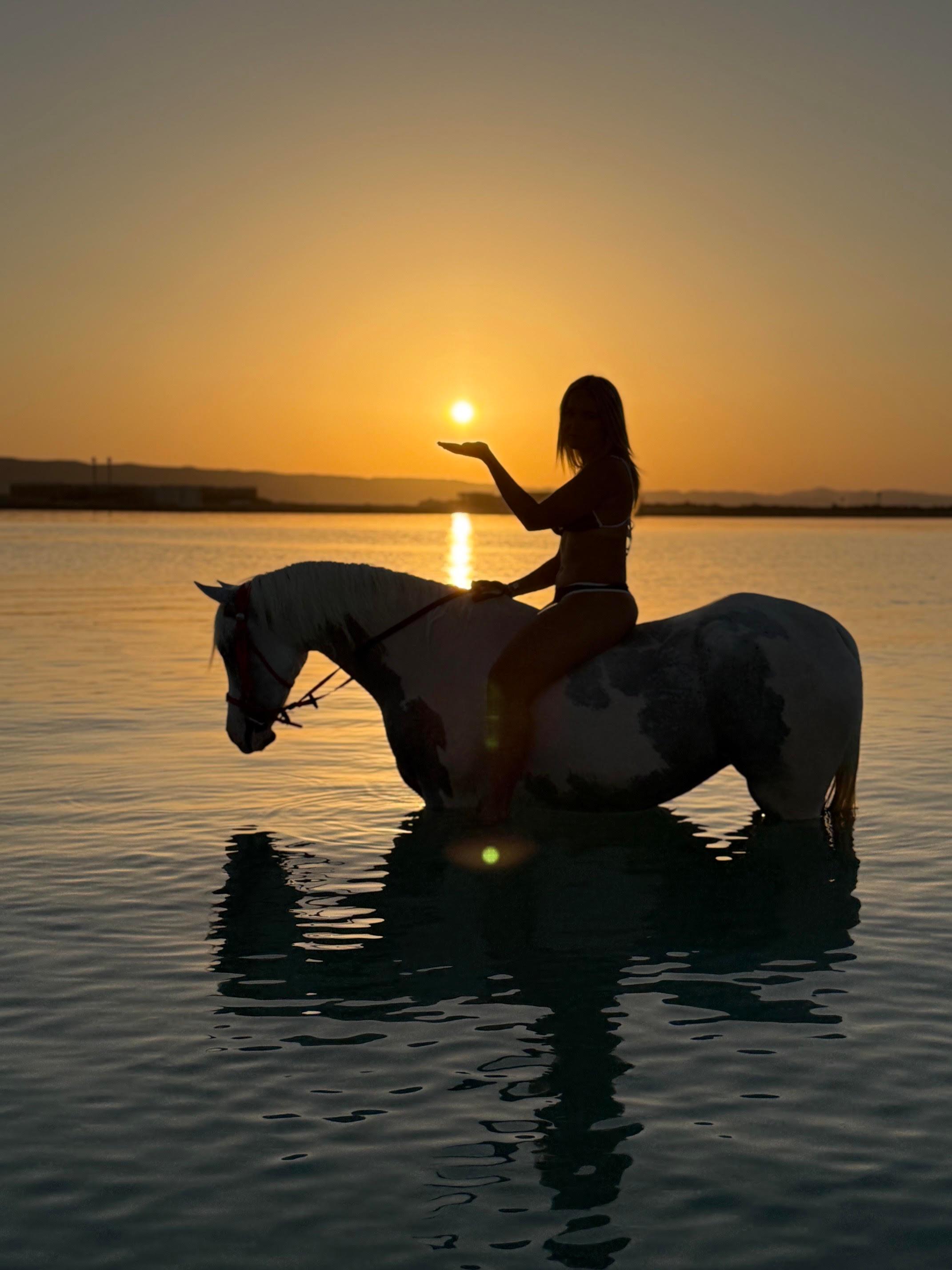 Hurghada Desert & Beach Horse Riding with Optional Sea Swim