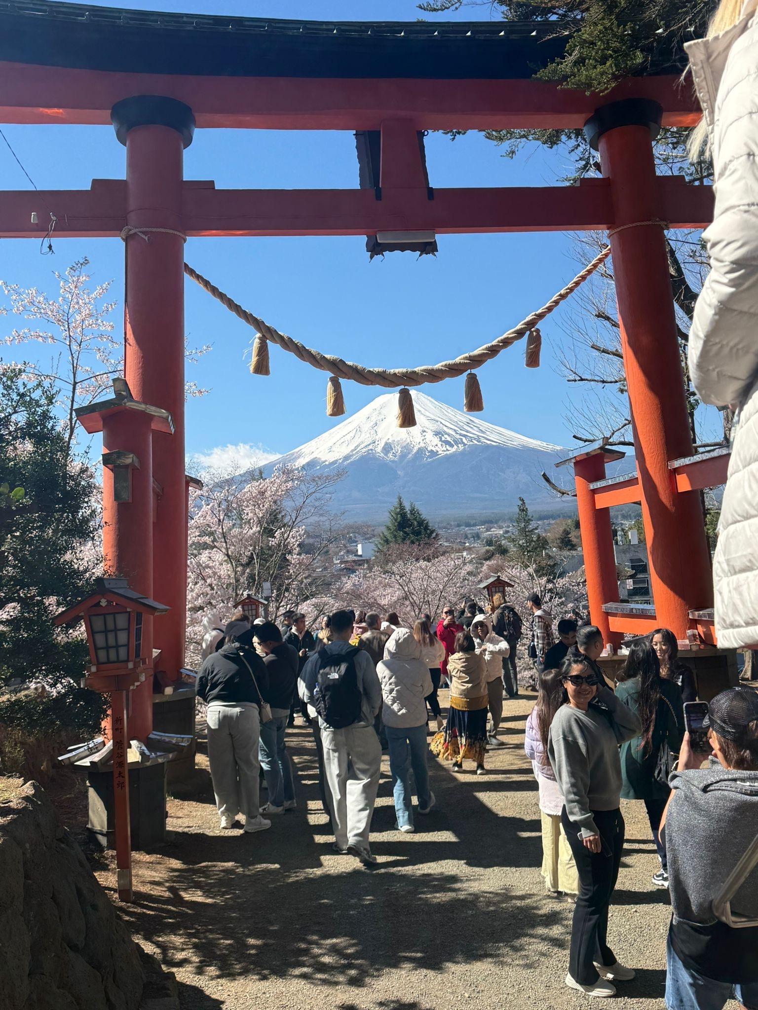 Private Mount Fuji & Hakone Day Tour from Tokyo