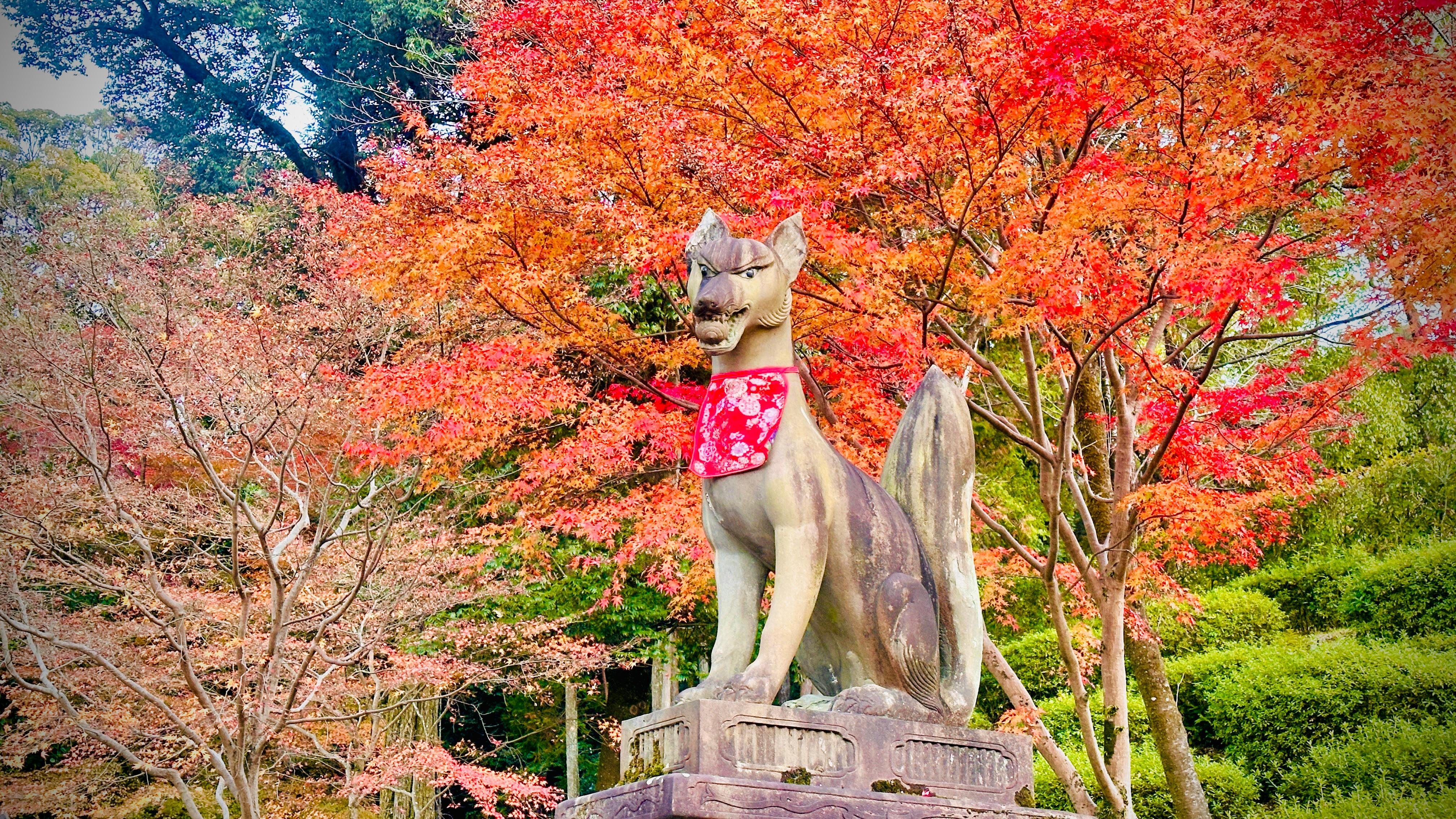 Privat høydepunkts-tur i Kyoto med sjåfør og engelskspråklig guide