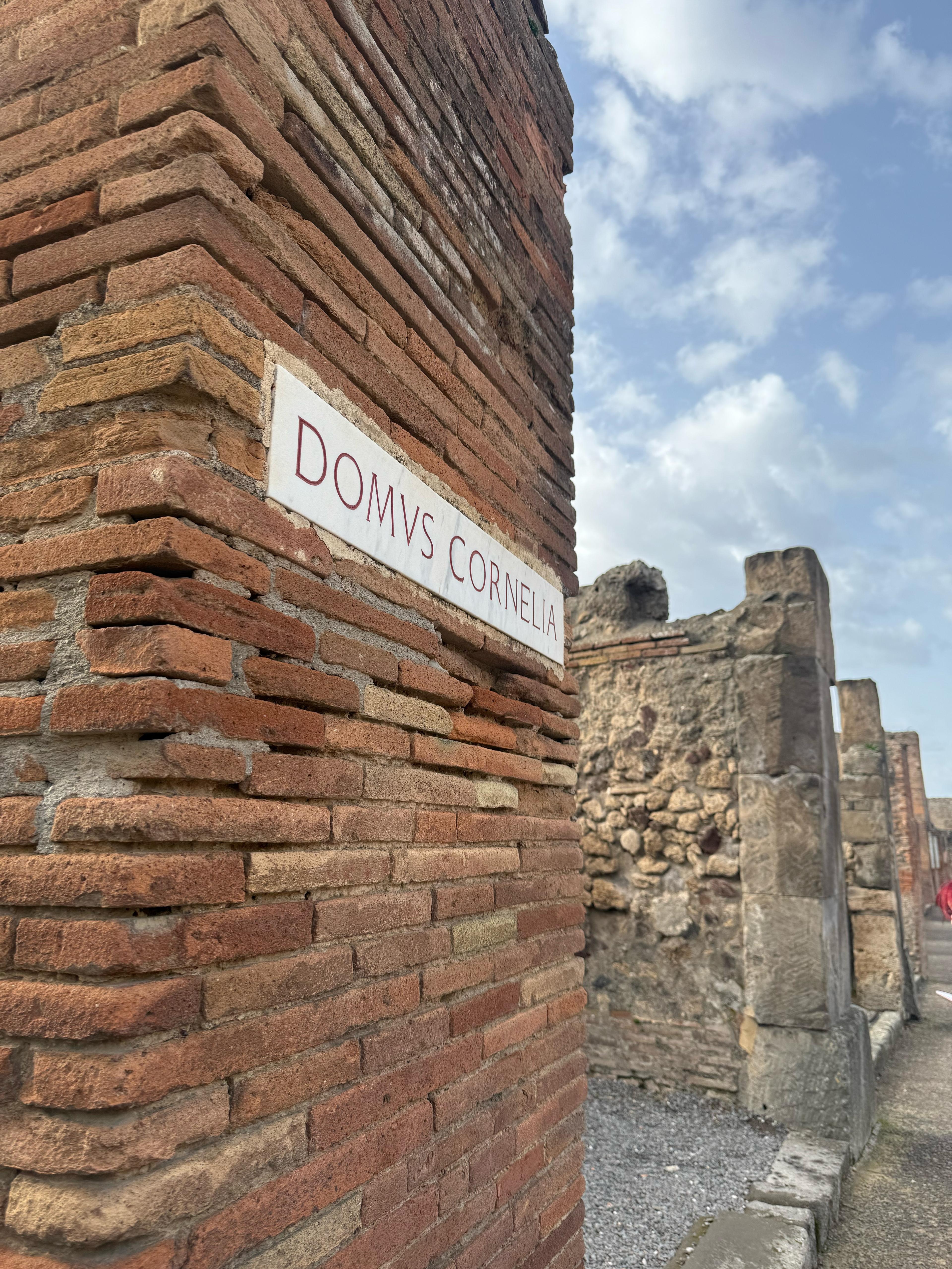 Pompeii & Vesuvius Small-Group Experience with Lunch from Naples