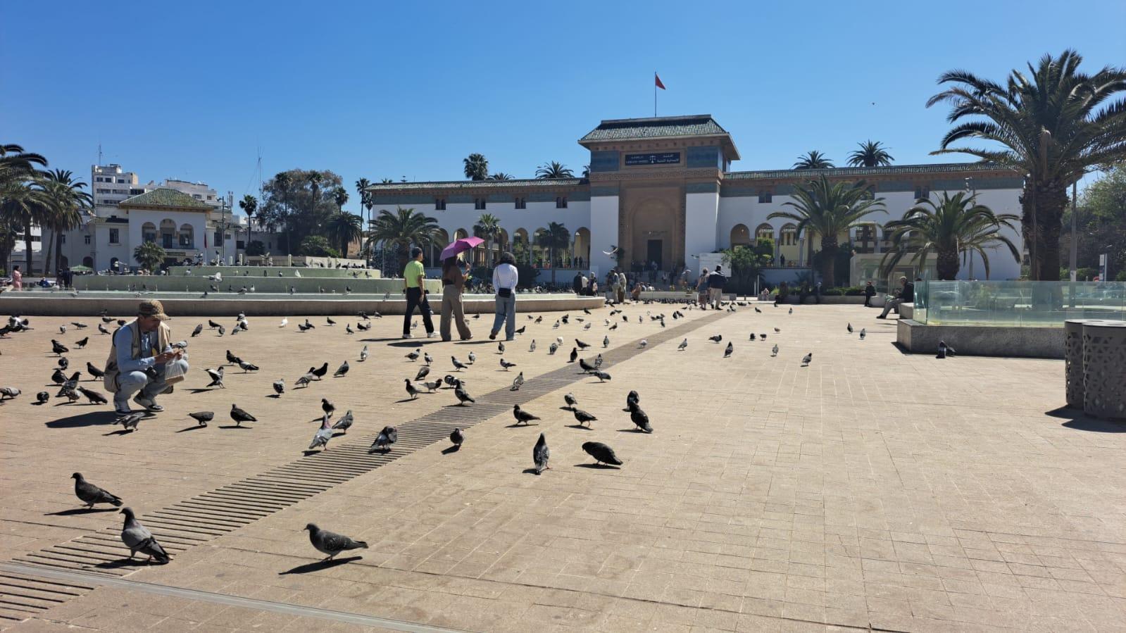 Casablanca Private City Highlights Tour