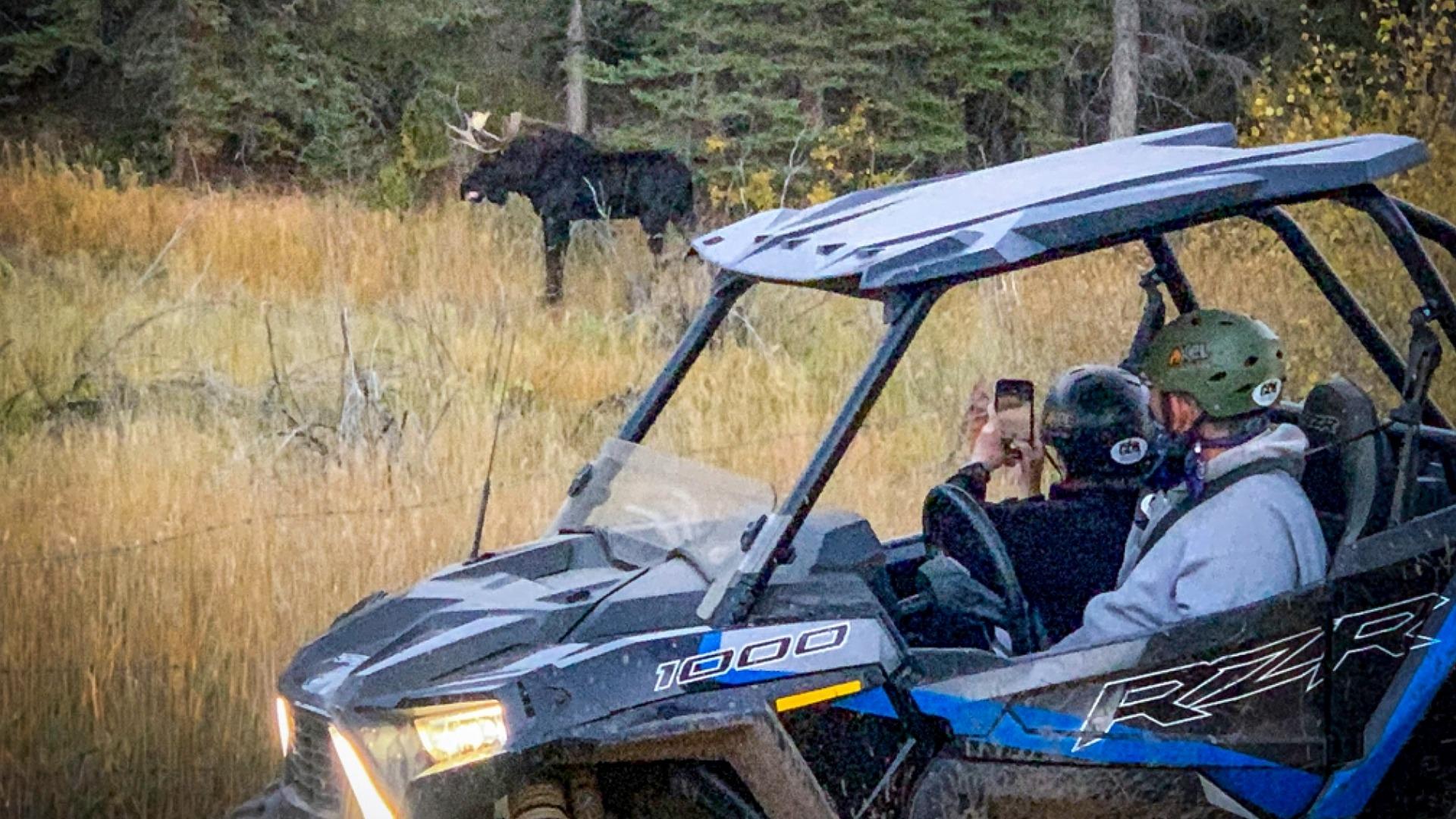 Rocky Mountain UTV Adventure from Woodland Park
