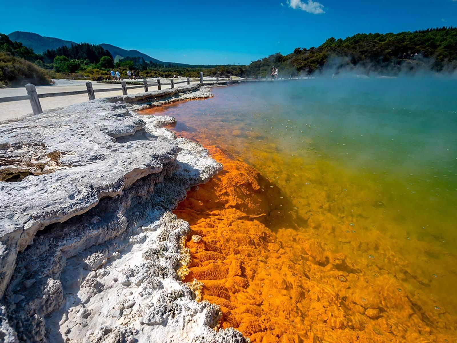 Rotorua Geothermal & Māori Cultural Experience from Auckland