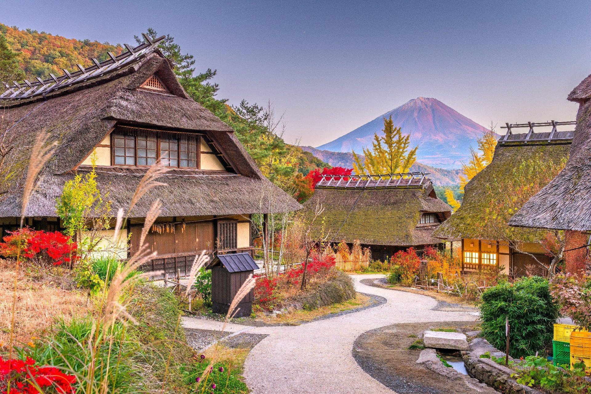 Mt. Fuji Day Tour: Lake Kawaguchi, Oshino Hakkai & Chureito Pagoda from Tokyo
