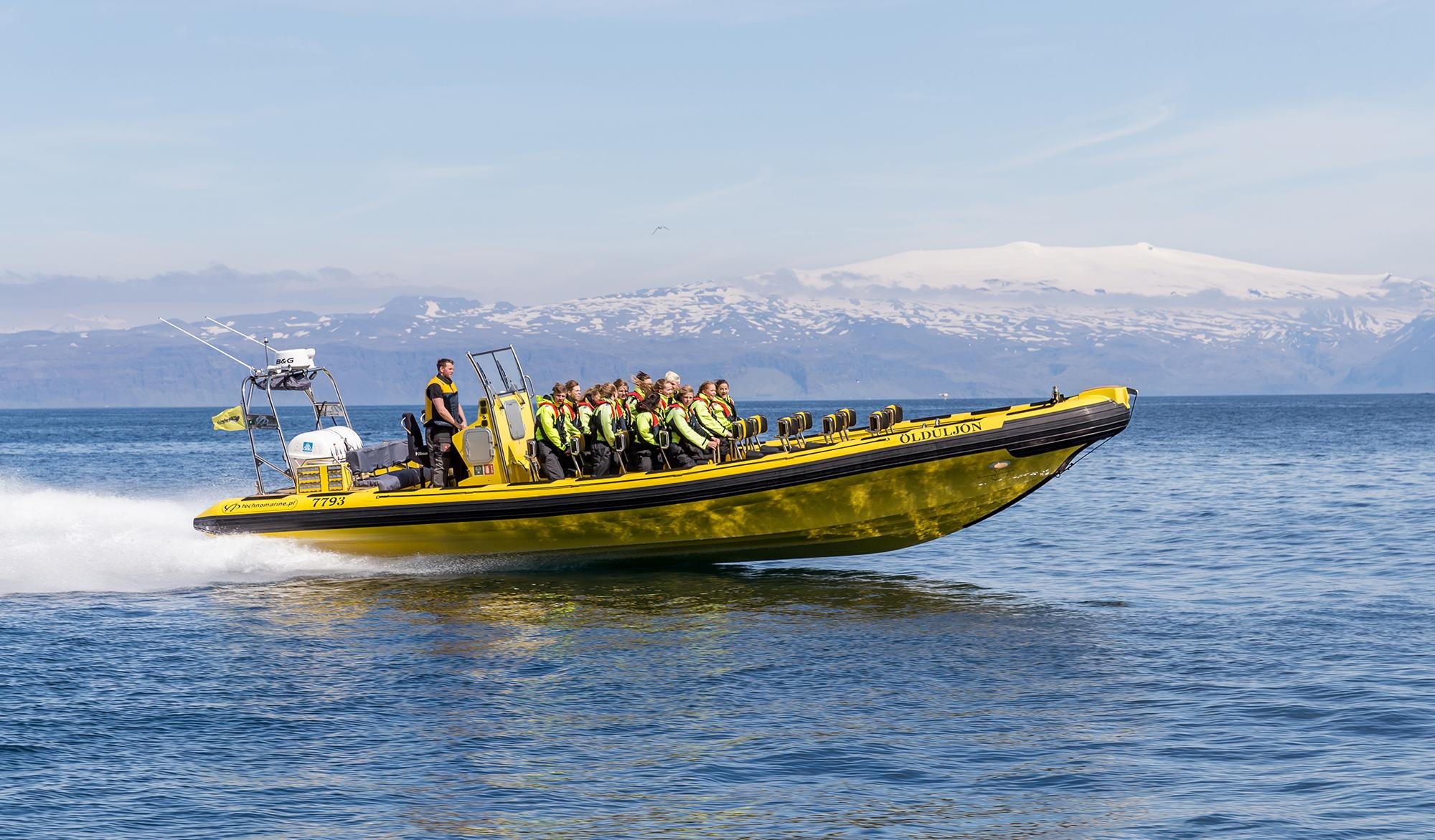 Vestmannaeyjar RIB Speedboat Adventure