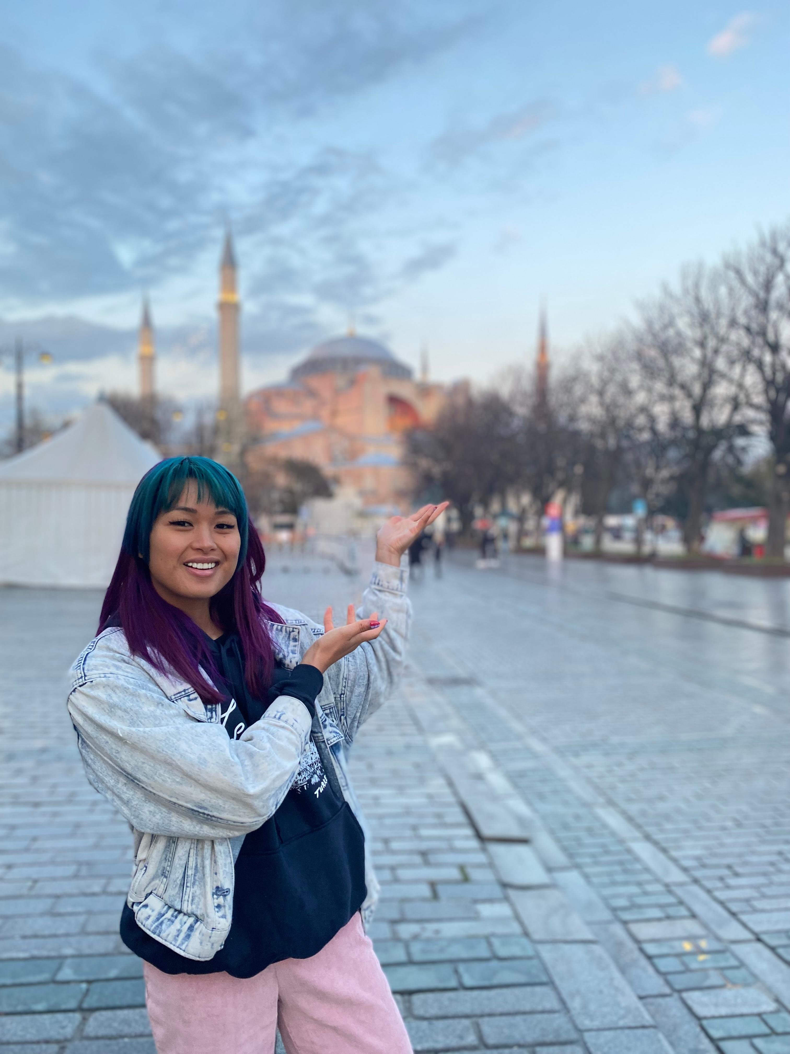 Istanbul Layover Private Sightseeing Tour