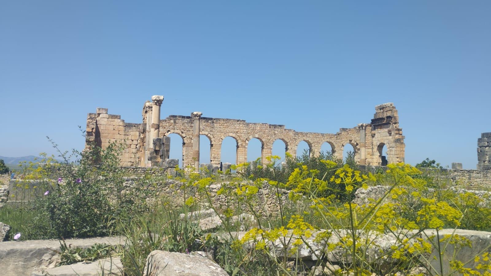 Fes Imperial Cities & Roman Ruins Day Trip
