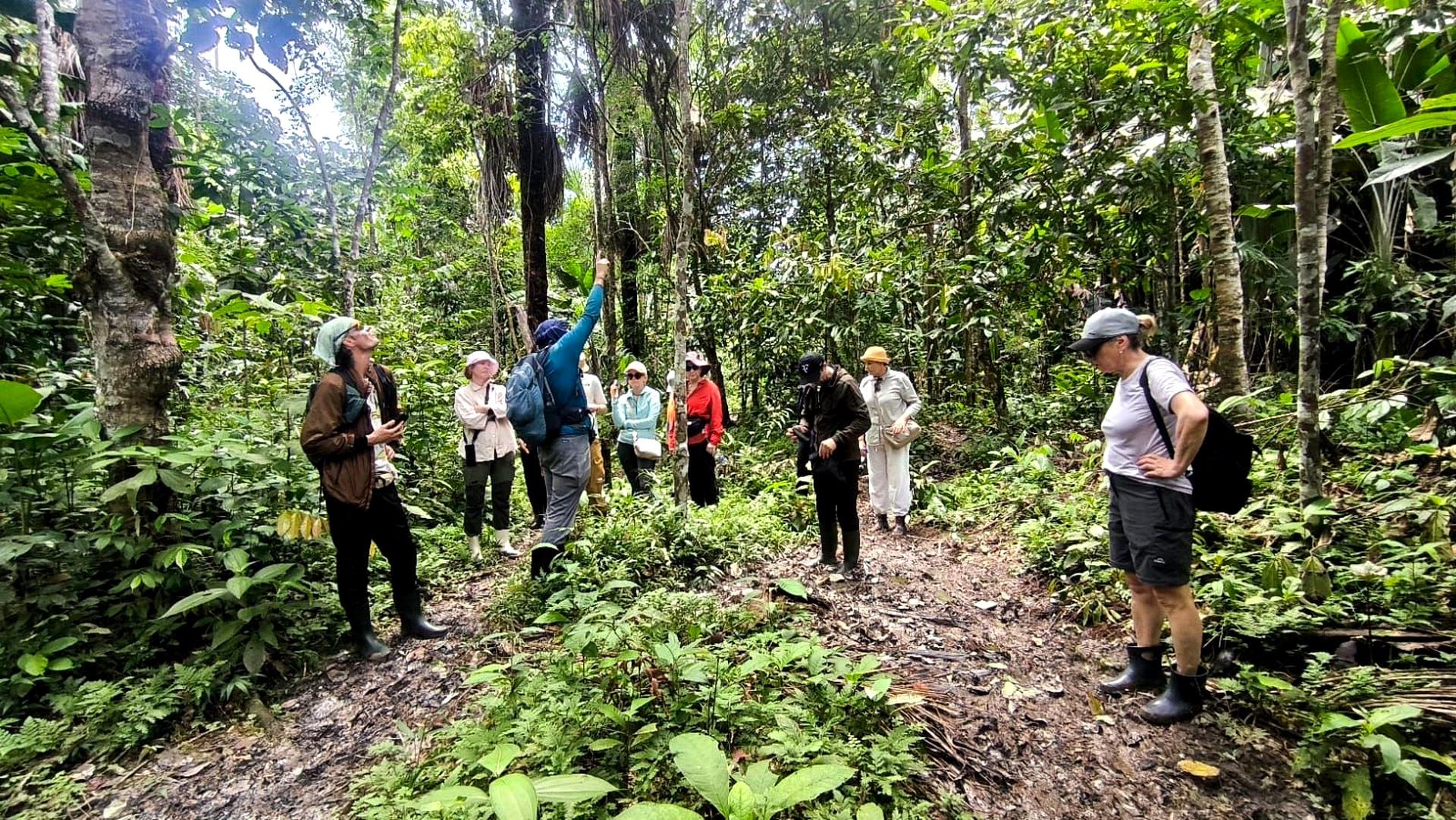 Leticia: Maloca Muruy Cultural Exchange & Amazon Food Tour