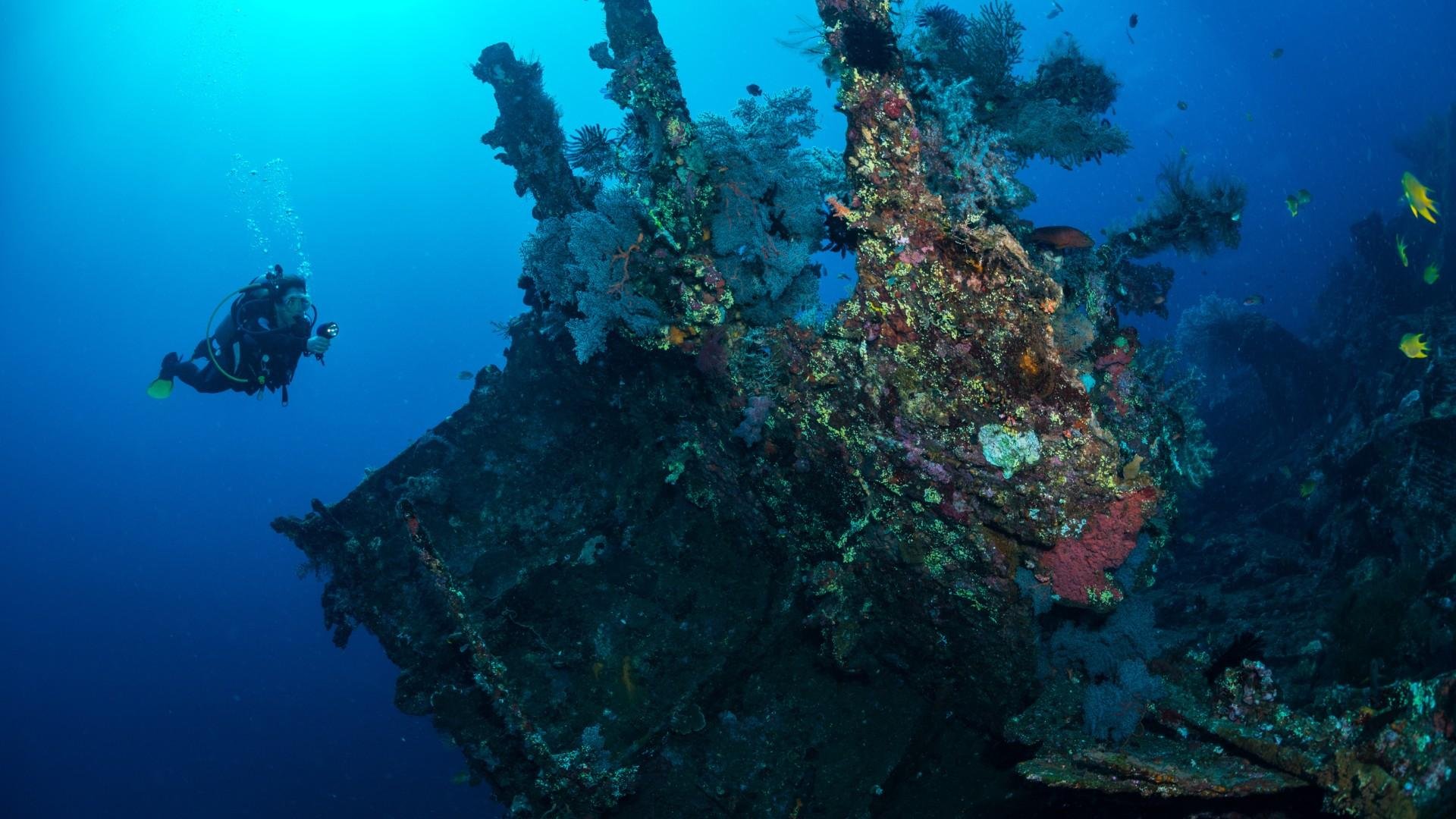 Tulamben USAT Liberty Wreck Dive with Lunch