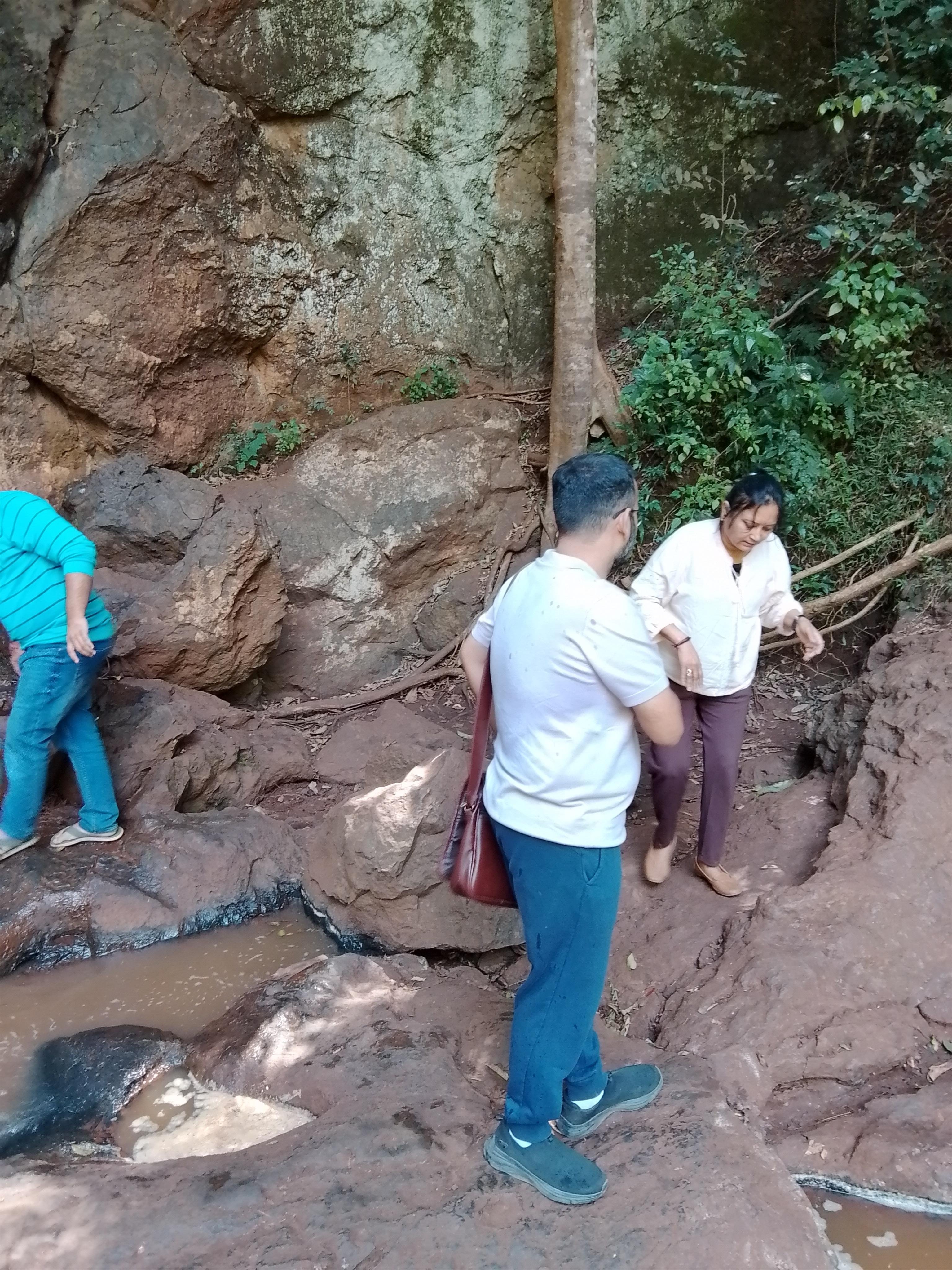 Karura Forest: Immersive Nature & History Walking Tour