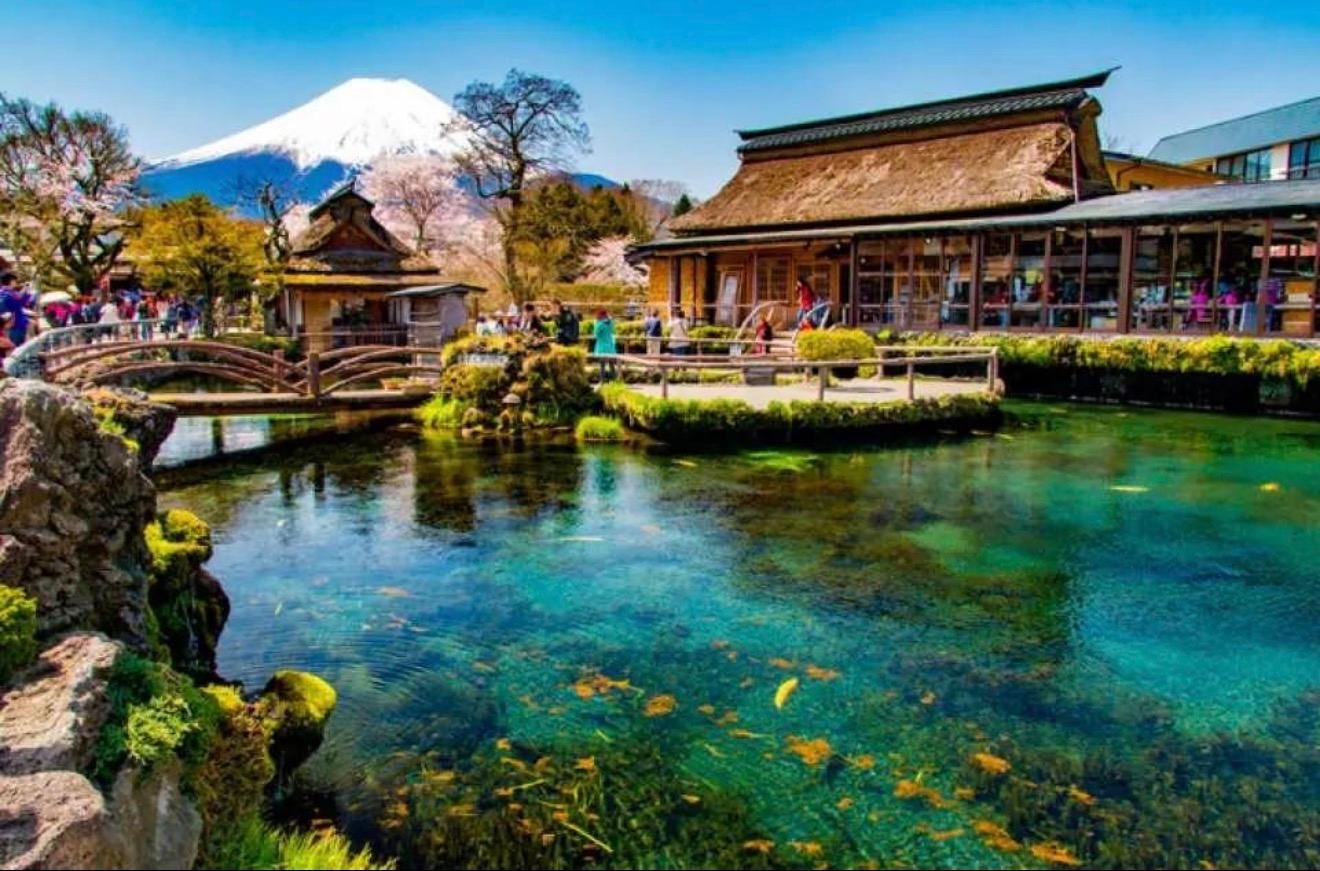Customizable Mount Fuji Private Day Trip from Tokyo