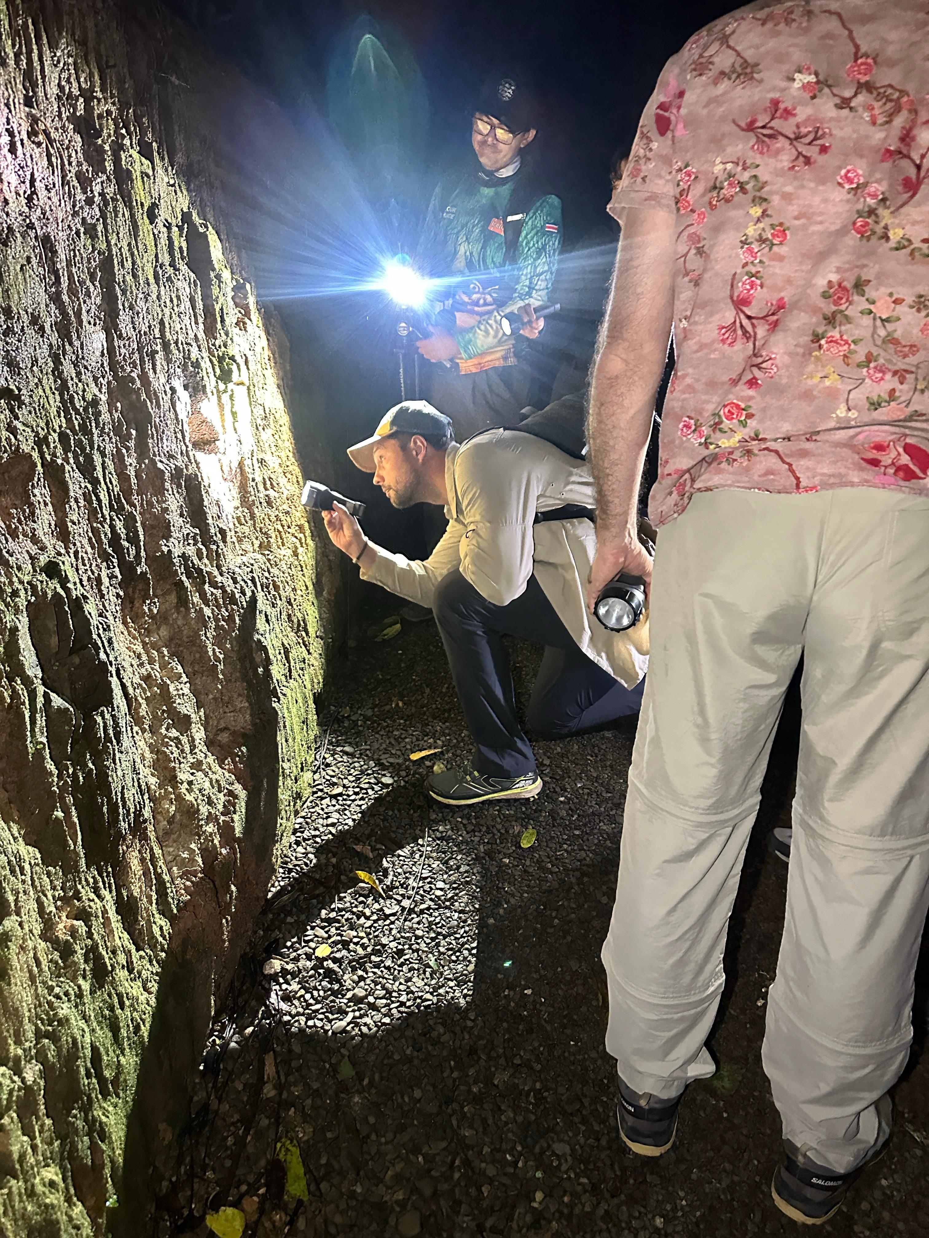 Manuel Antonio Day & Night Wildlife Combo Tour