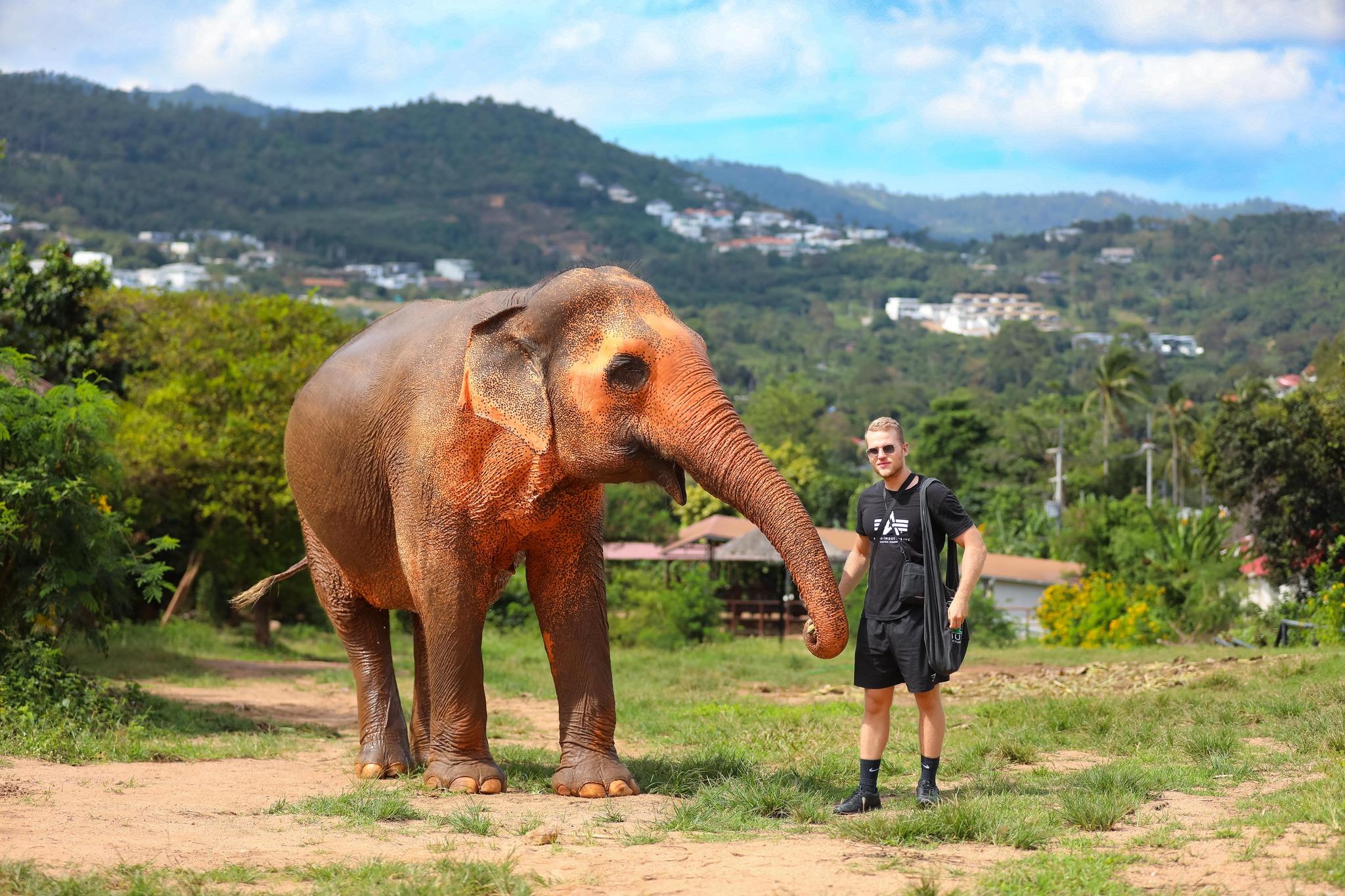 Samui Ethical Elephant Sanctuary Half-Day Experience