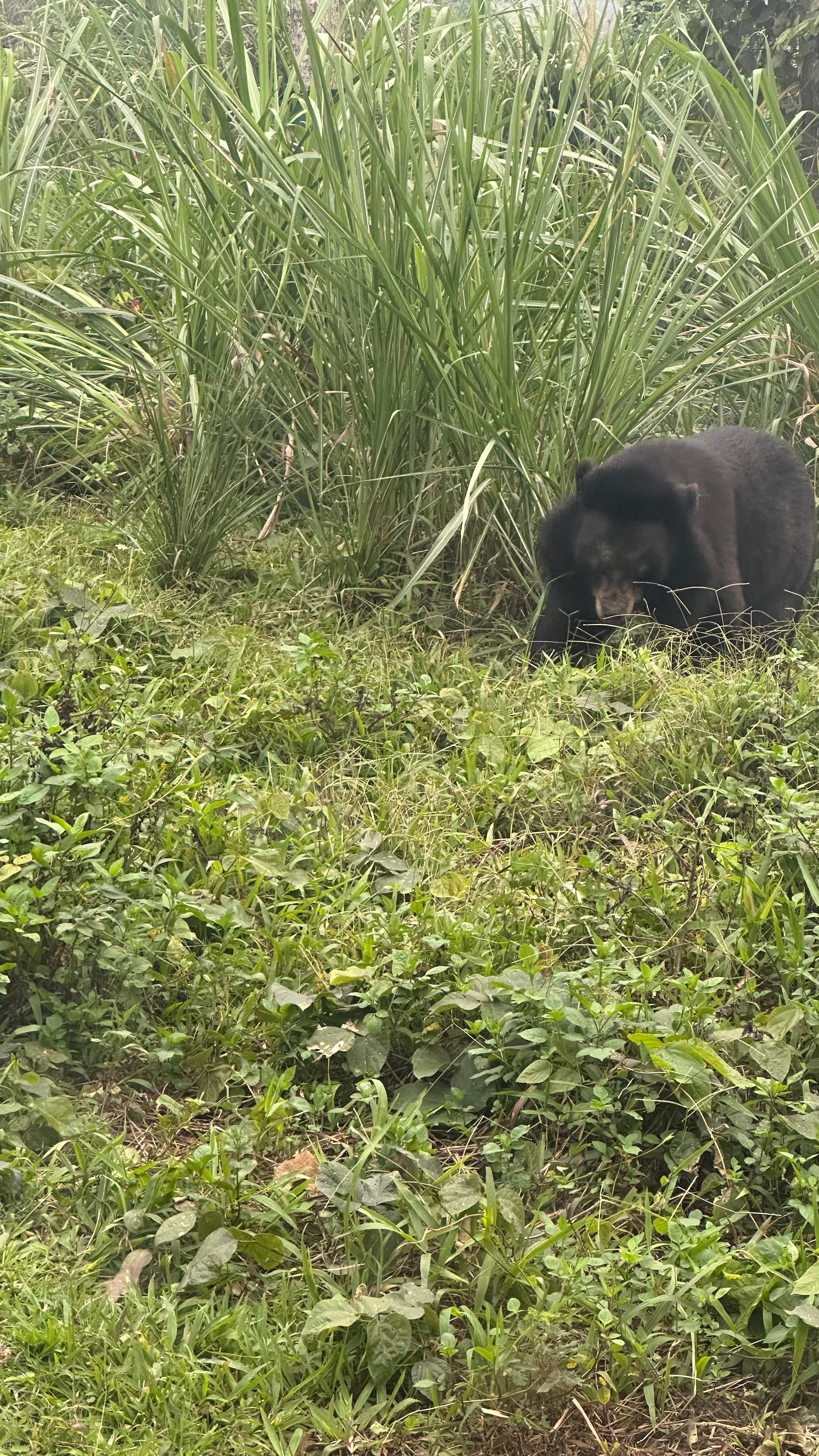 Cuc Phuong National Park Day Trek & Bear Sanctuary from Ninh Binh