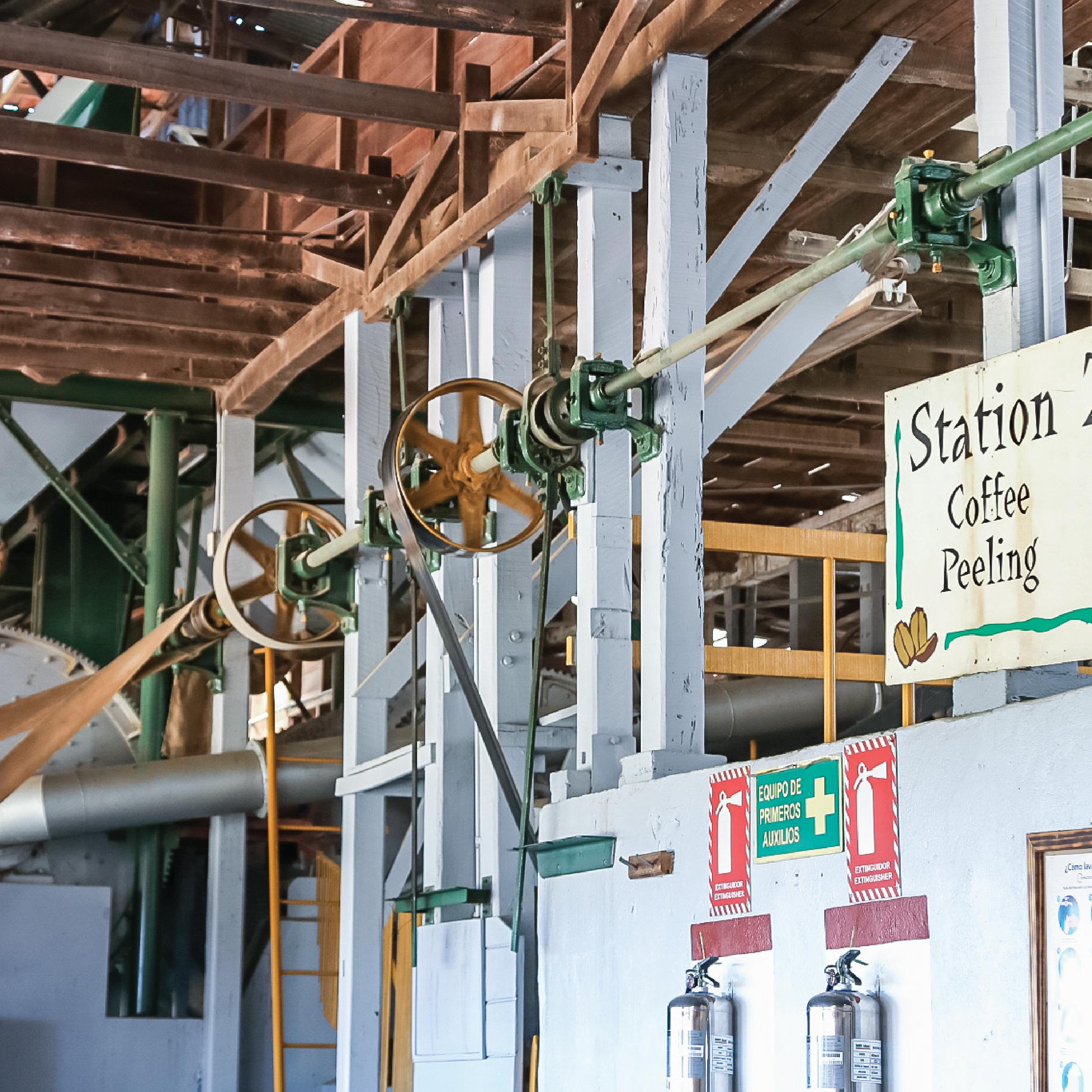 Alajuela Coffee Plantation Tour & Tasting at Doka Estate