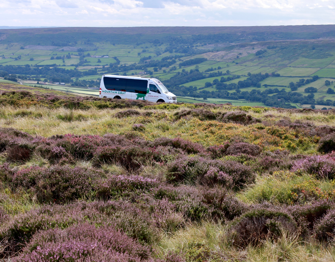 York: North Yorkshire Moors and Whitby Scenic Day Trip