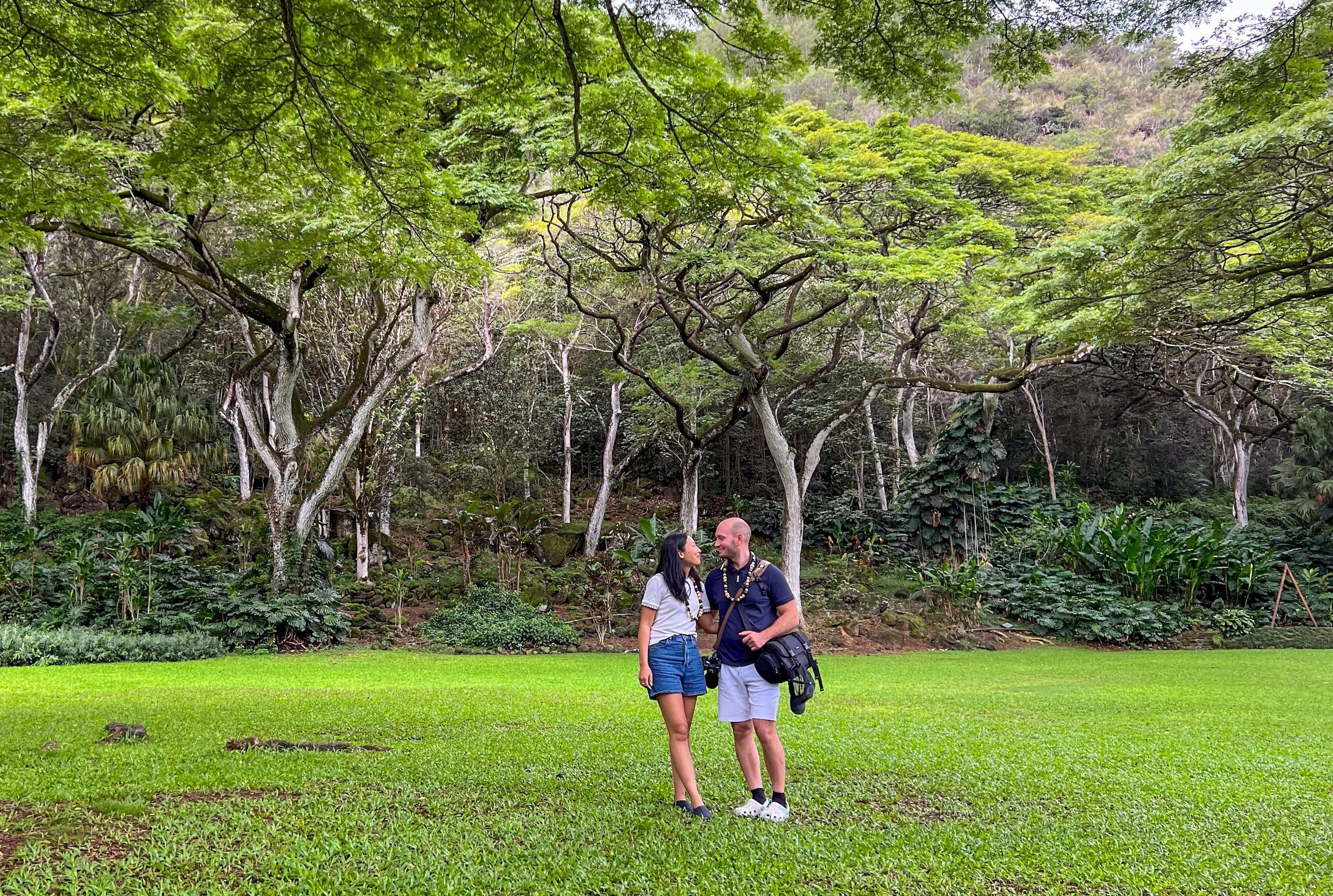 Oahu circle island tour scenery and windward coast landmarks — image 3