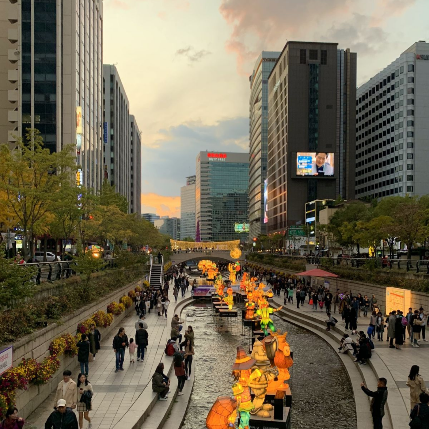 Seoul Private Night Tour with English-Speaking Guide