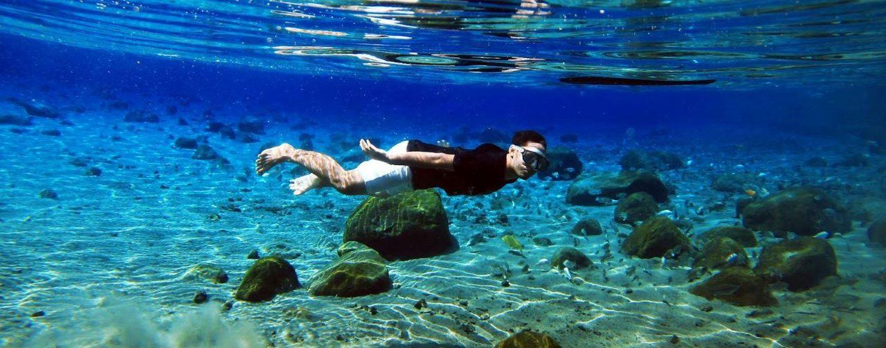 Kailua Kona Dolphin & Captain Cook Snorkel Expedition