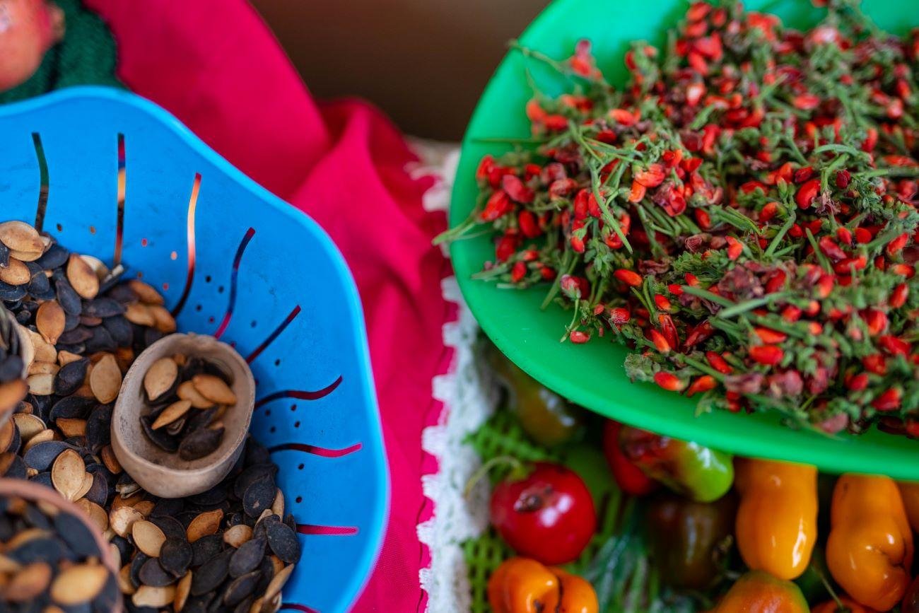 cooking class in Mexico City — photo 9